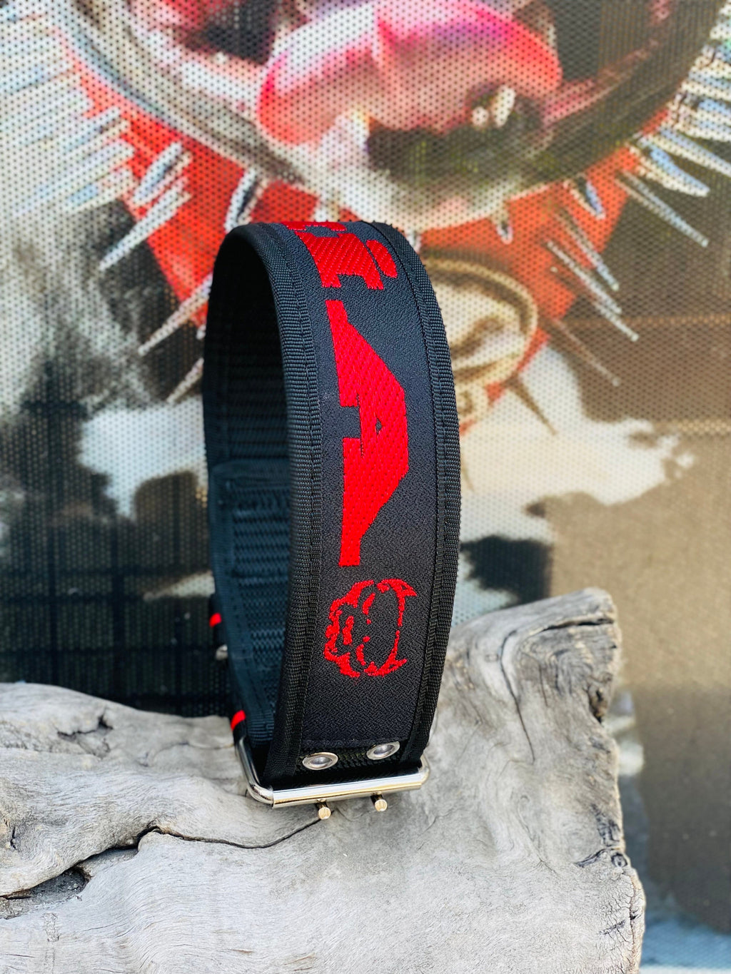 Embroidered Nylon Dog Collar Harness Leash Set: Heavy Duty, Personalized