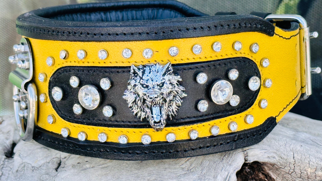 Black & Yellow Crystal Dog Collar: Custom Engraved Leather Collar