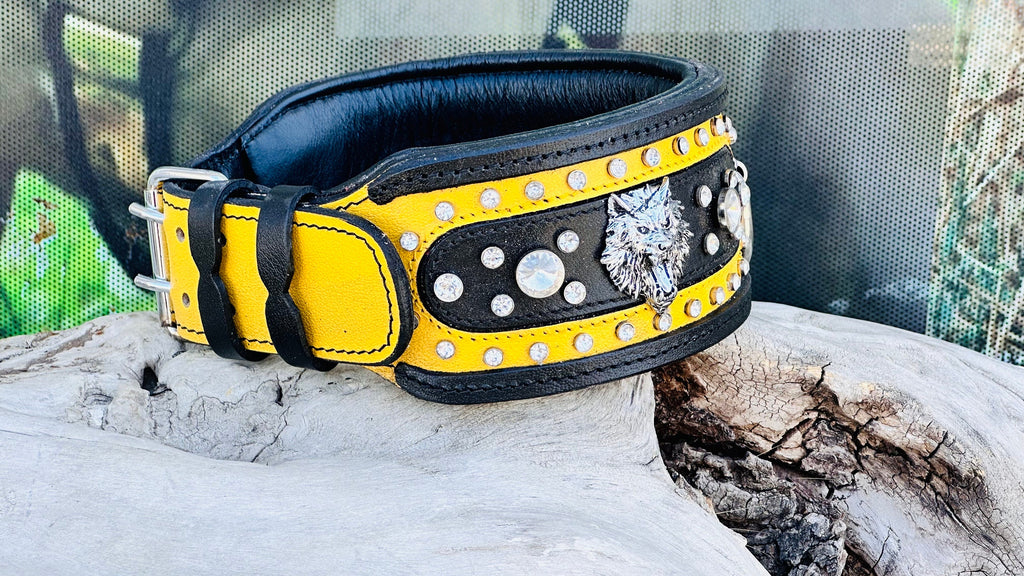 Black & Yellow Crystal Dog Collar: Custom Engraved Leather Collar