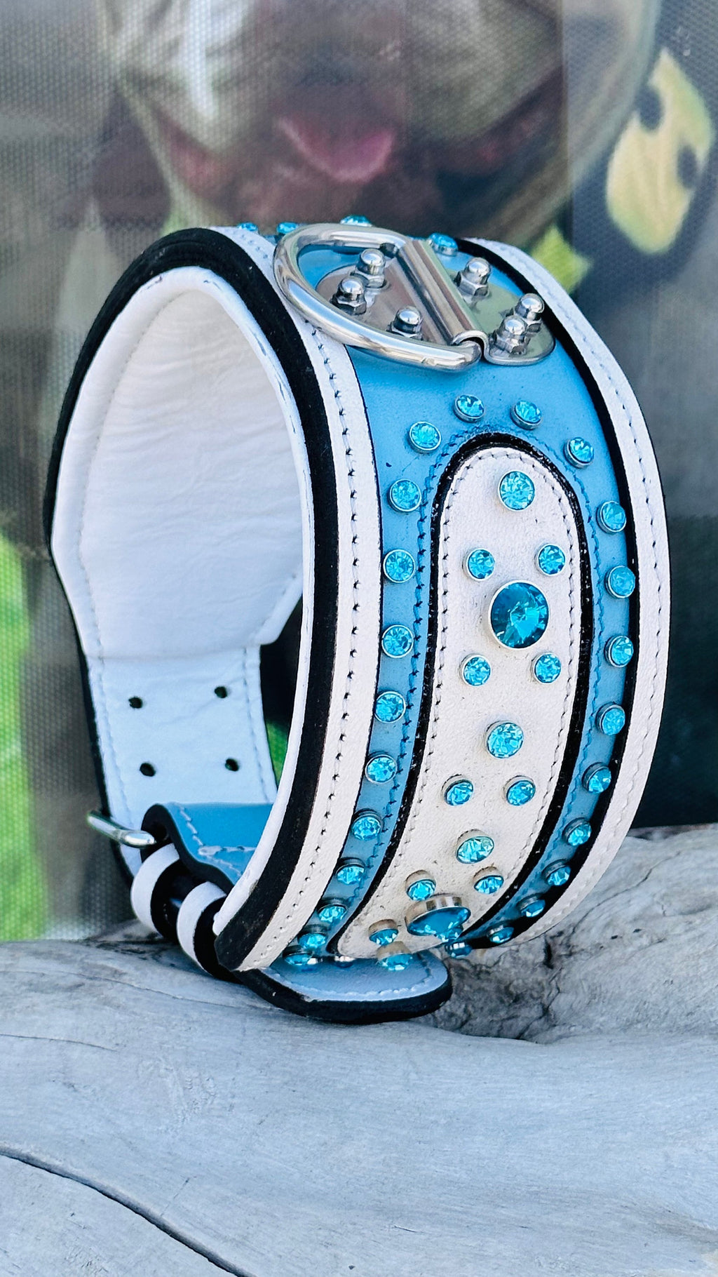 Crystal Dog Collar: Personalized Leather Collar with Name Plate