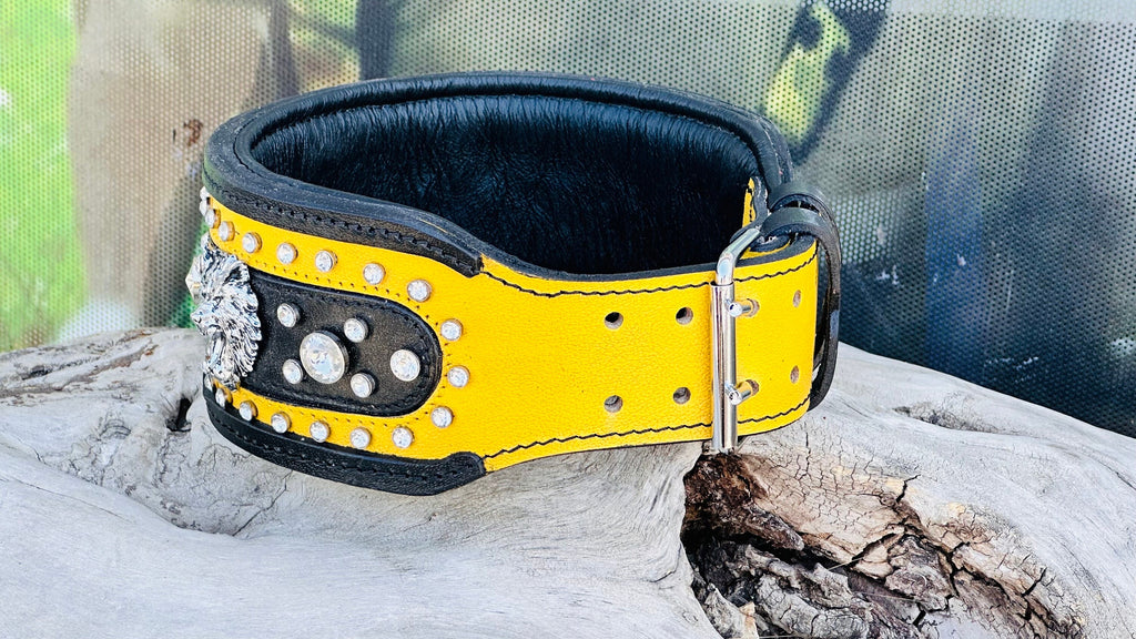 Black & Yellow Crystal Dog Collar: Custom Engraved Leather Collar