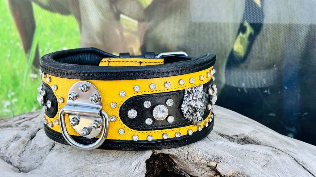 Black & Yellow Crystal Dog Collar: Custom Engraved Leather Collar
