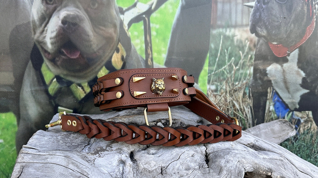 Handmade Braided Leather Dog Collar: Wolf Emblem, Large Breeds