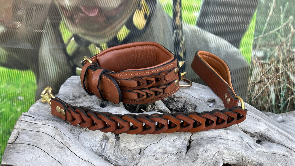 Handmade Braided Leather Dog Collar: Wolf Emblem, Large Breeds