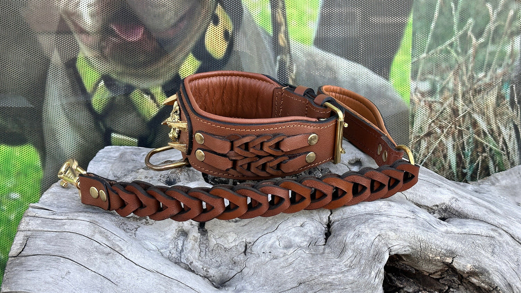 Handmade Braided Leather Dog Collar: Wolf Emblem, Large Breeds