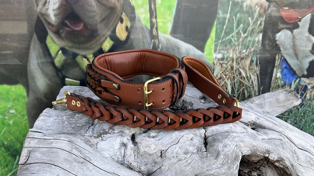 Handmade Braided Leather Dog Collar: Wolf Emblem, Large Breeds