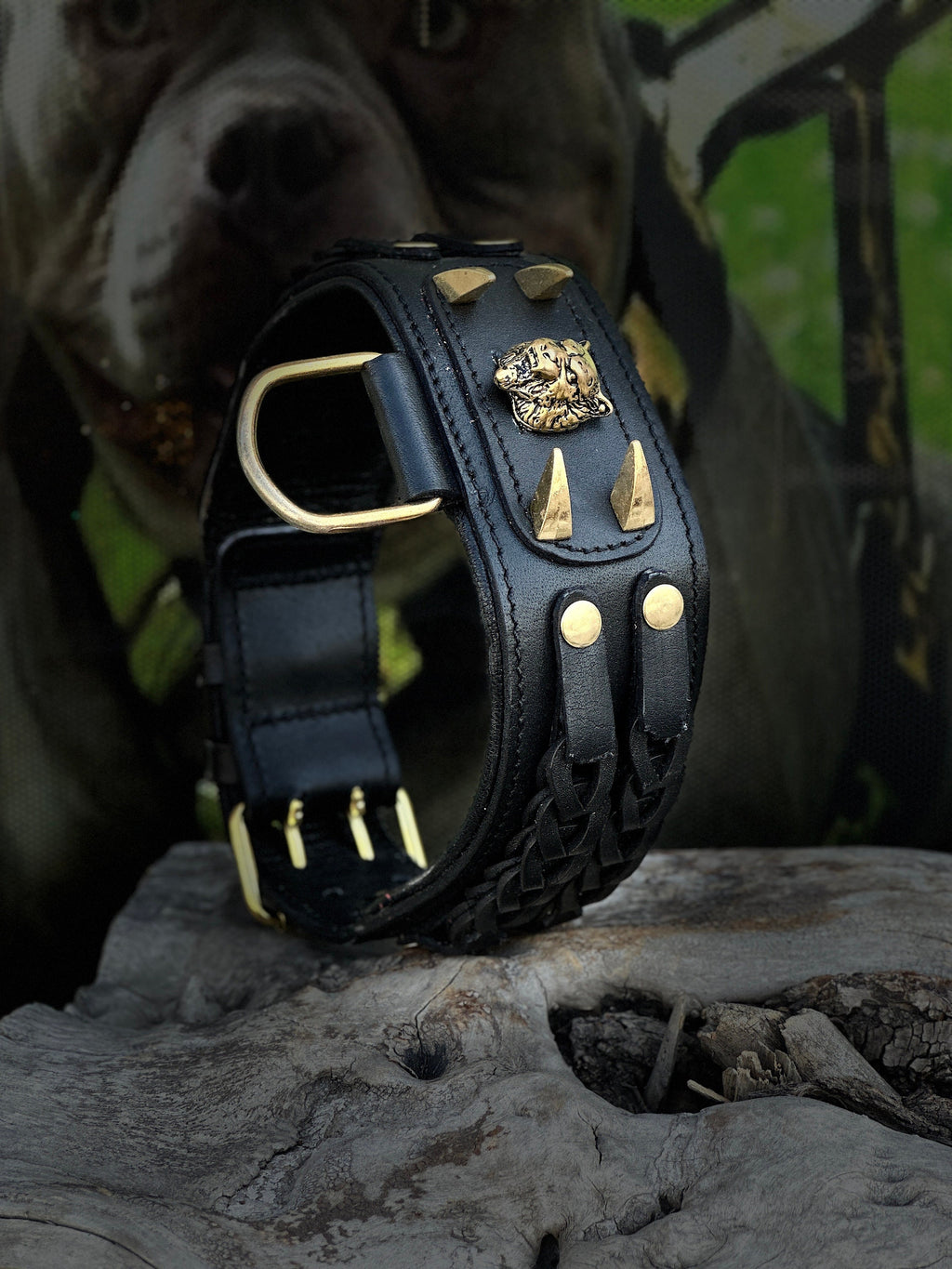 Handmade Braided Black Leather Dog Collar | Lion Logo, Large Breeds