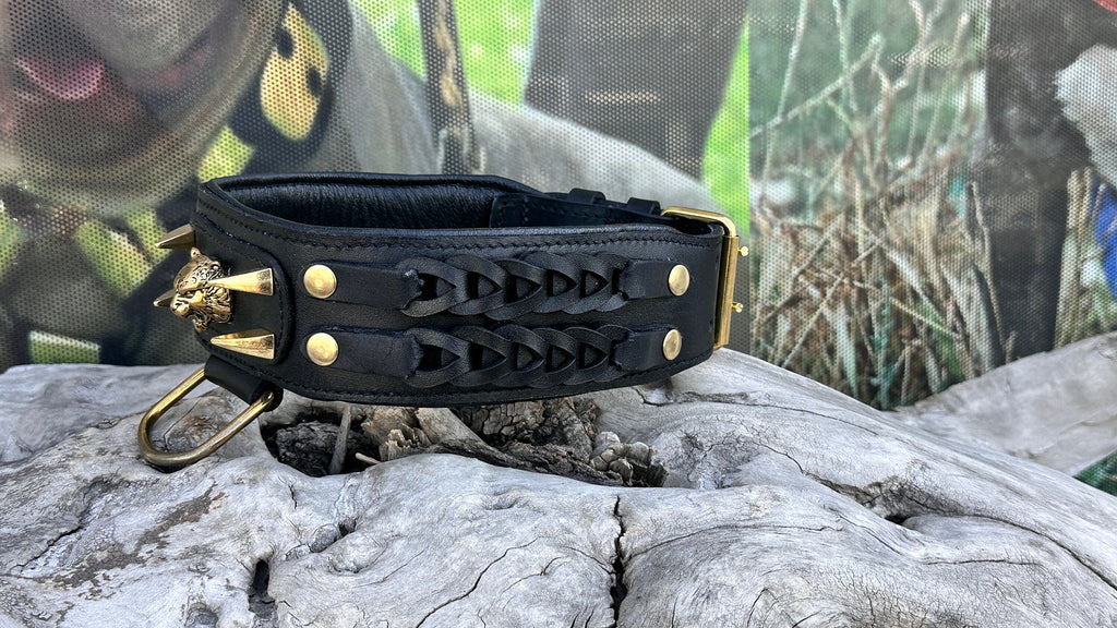 Handmade Braided Black Leather Dog Collar | Lion Logo, Large Breeds