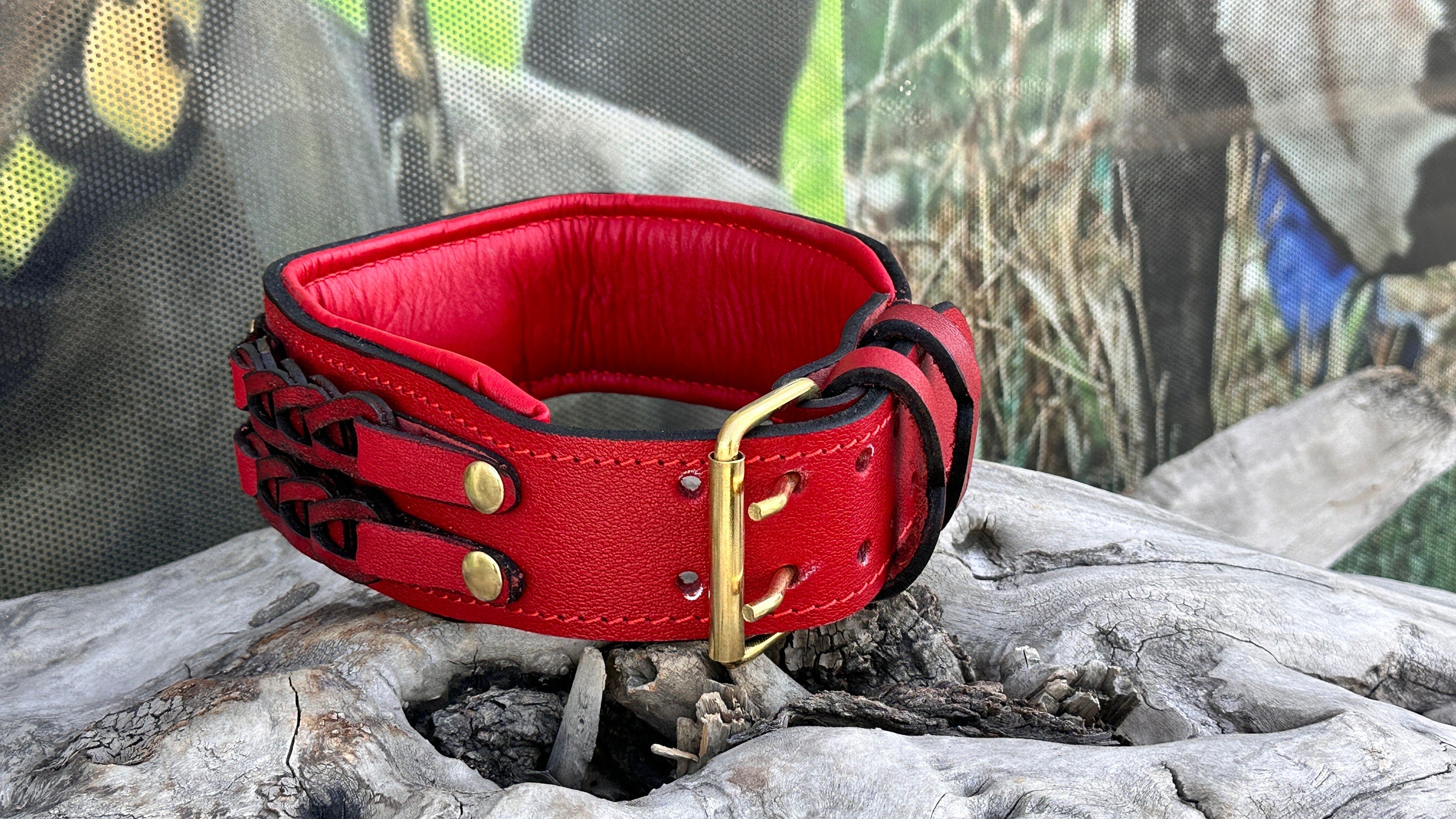 Handmade Braided Leather Dog Collar: American Bully Logo, Large Breeds
