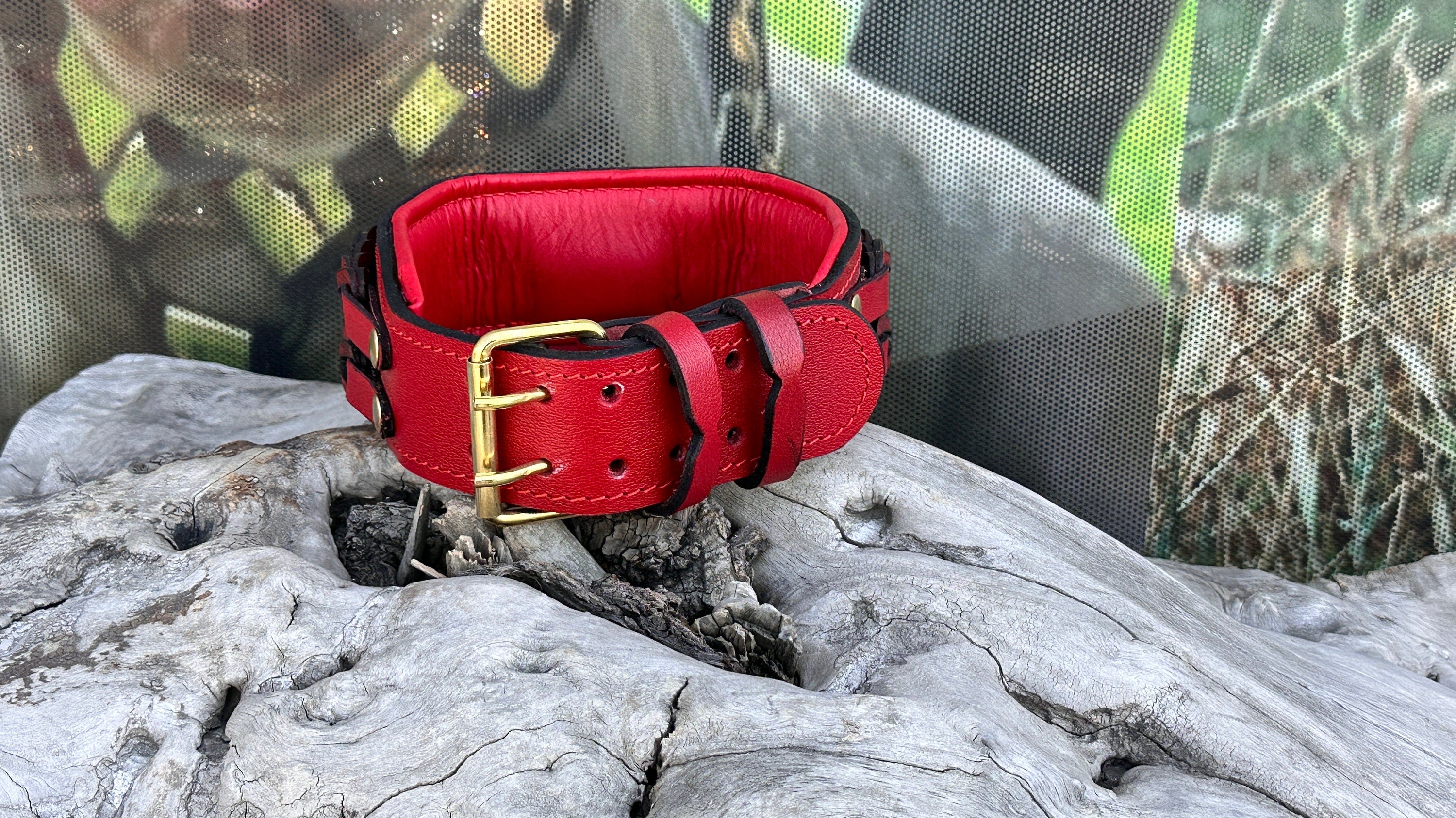 Handmade Braided Leather Dog Collar: American Bully Logo, Large Breeds