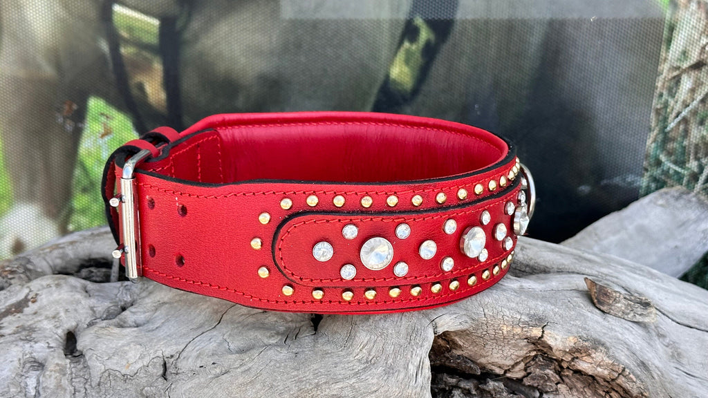 Crystal Dog Collar: Handmade Leather, Engraved, Personalized Pet Collar