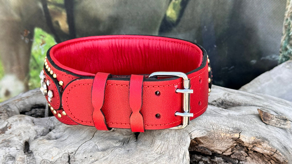 Crystal Dog Collar: Handmade Leather, Engraved, Personalized Pet Collar