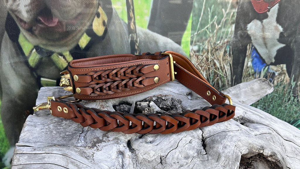 Handmade Braided Leather Dog Collar: Wolf Emblem, Large Breeds