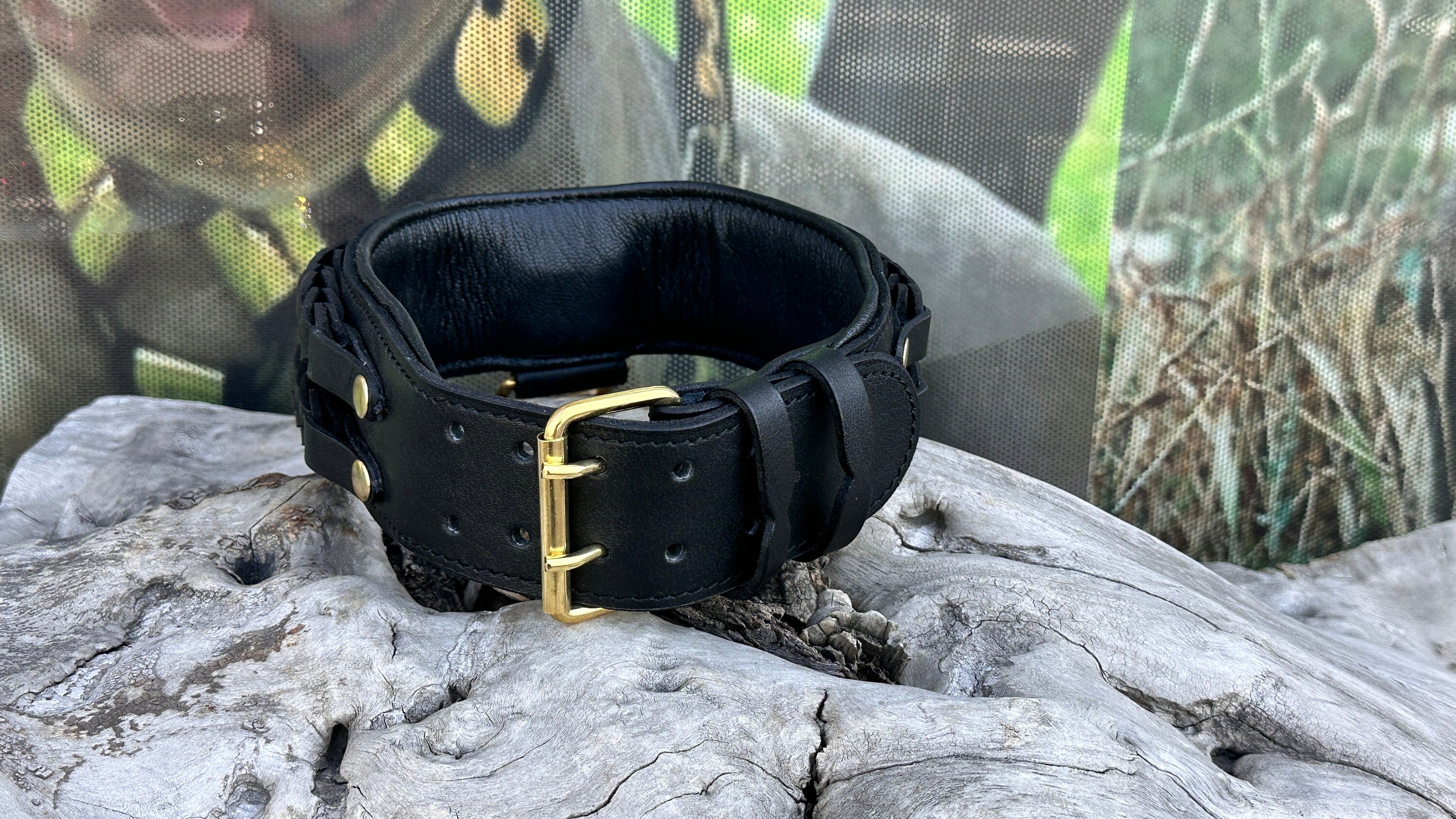 Handmade Braided Black Leather Dog Collar | Lion Logo, Large Breeds