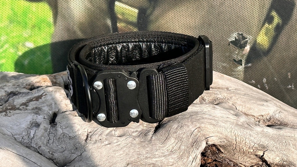 Embroidered Tactical Dog Collar: Personalized Nylon Collar with Steel Buckle