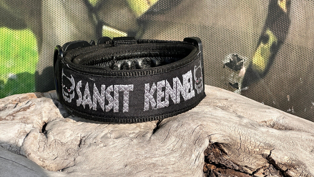 Embroidered Tactical Dog Collar: Personalized Nylon Collar with Steel Buckle