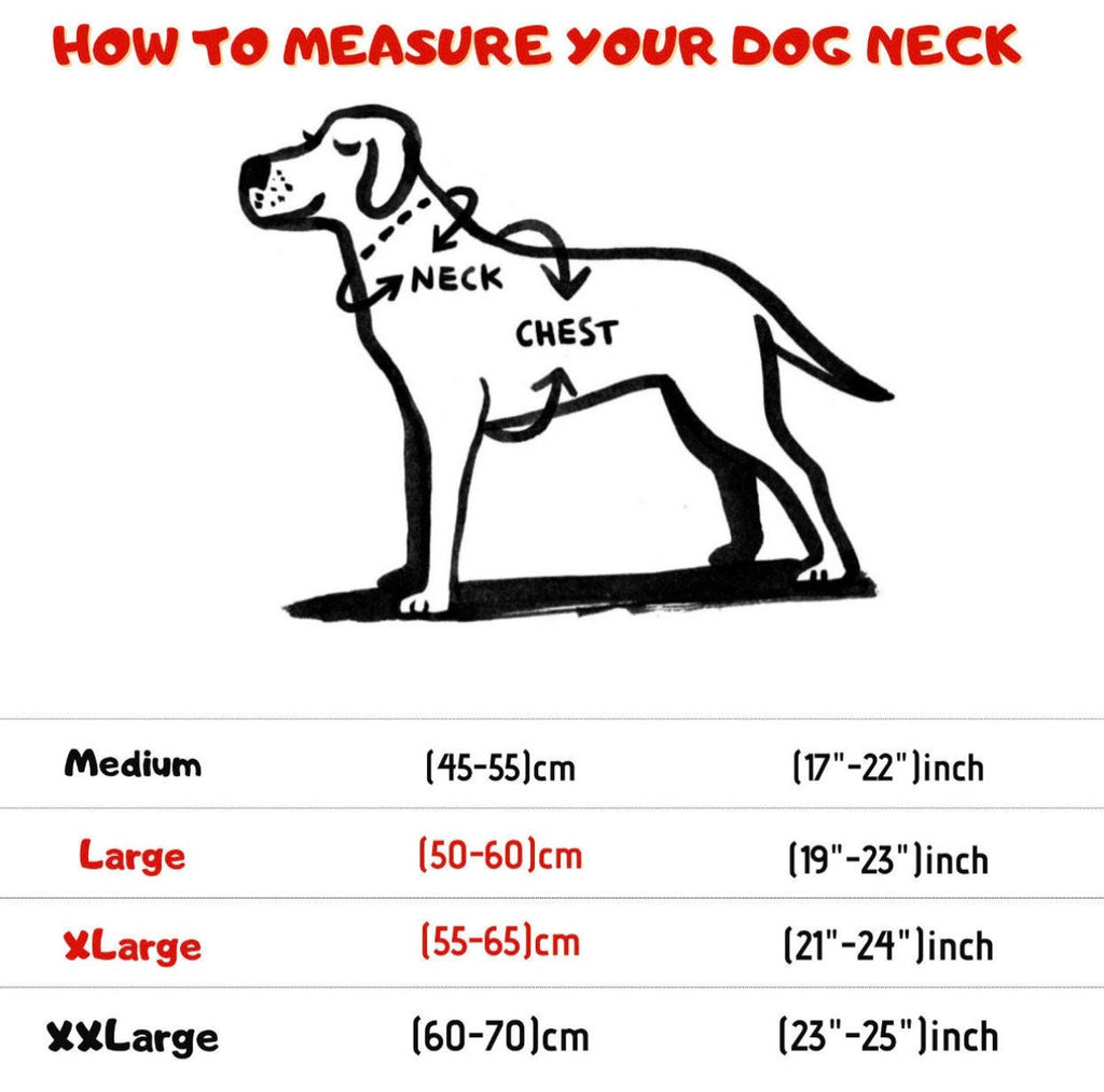 Embroidered Tactical Dog Collar: Personalized Nylon Collar with Steel Buckle