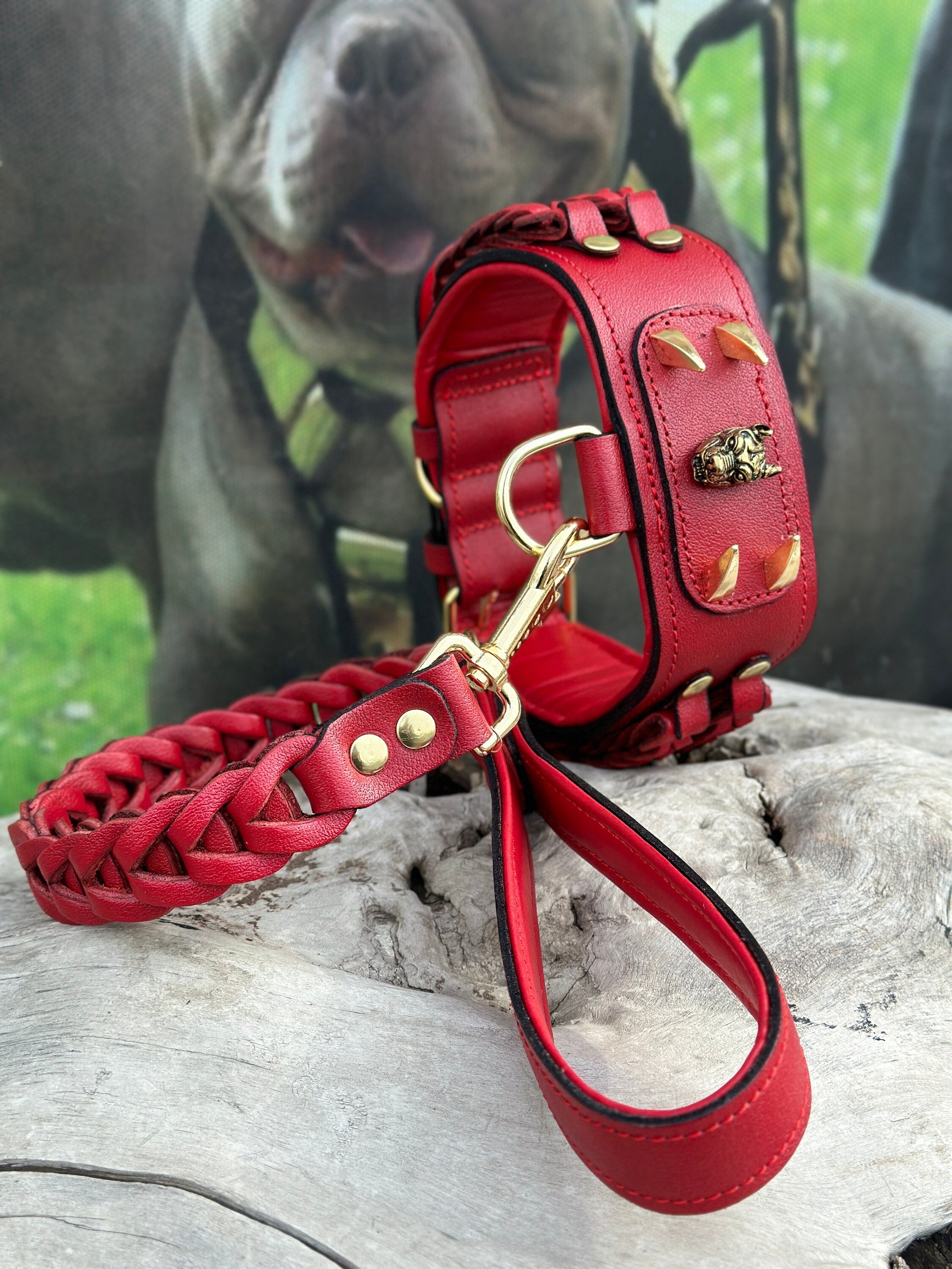 Handmade buffalo leather dog collar with custom engraved name plate, featuring sturdy buckle and stylish design by A&C Dog Collars.