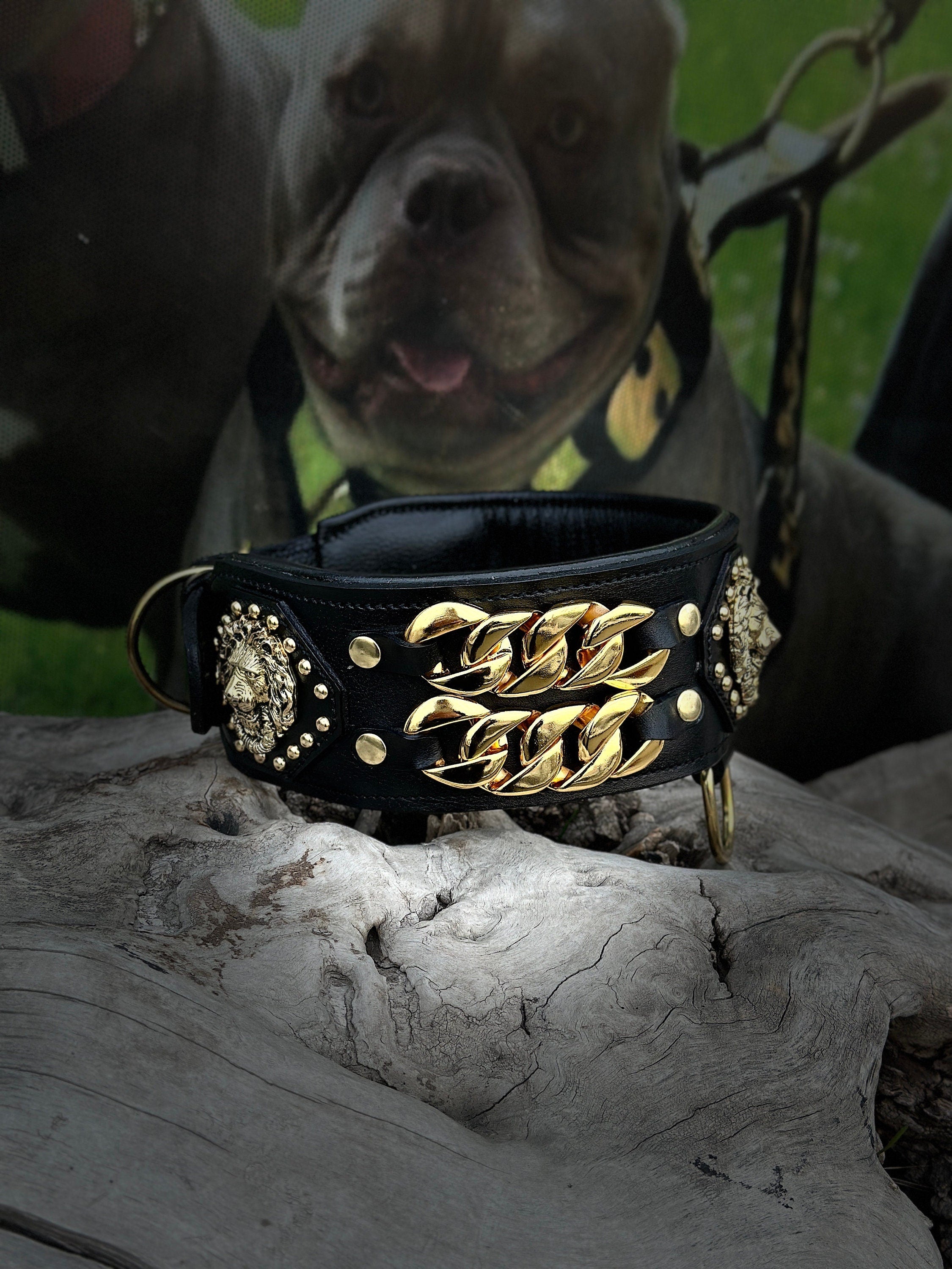 Handmade Wide Buffalo Leather Dog Collar: Gold Lion, Chain Detail - A&C Dog Collars