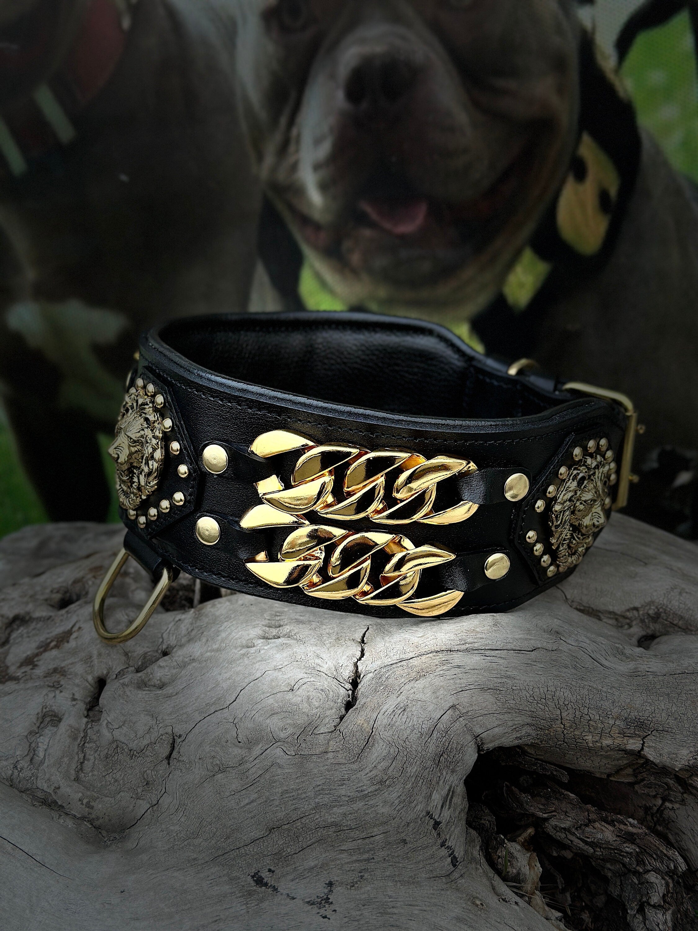 Handmade Wide Buffalo Leather Dog Collar: Gold Lion, Chain Detail - A&C Dog Collars
