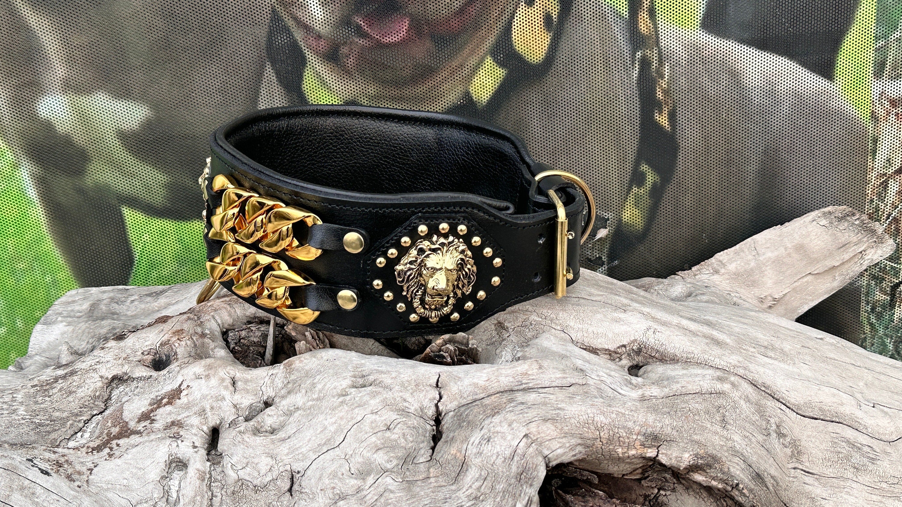 Handmade Wide Buffalo Leather Dog Collar: Gold Lion, Chain Detail - A&C Dog Collars