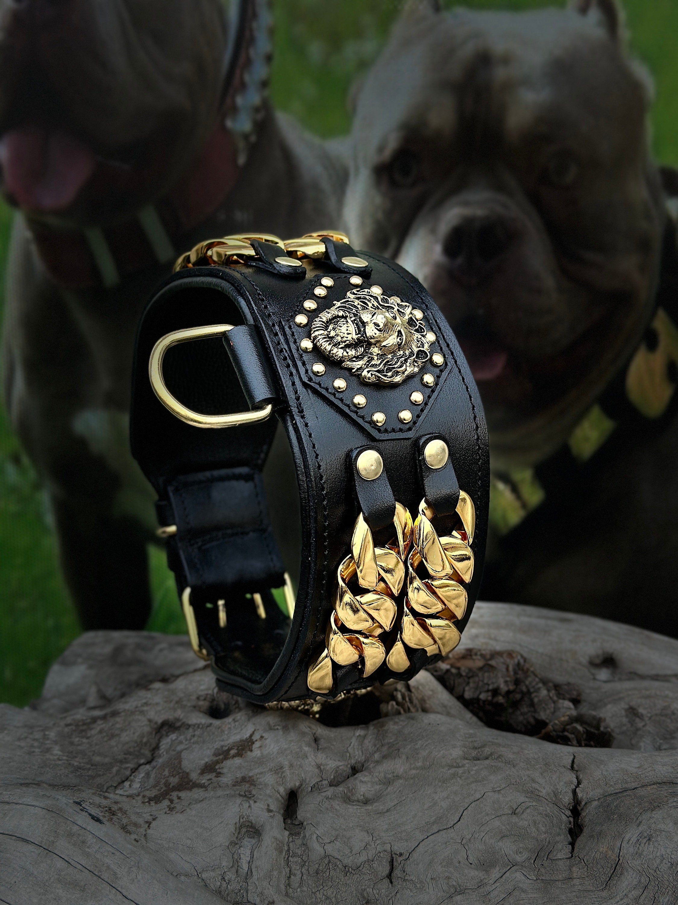 Handmade Wide Buffalo Leather Dog Collar: Gold Lion, Chain Detail - A&C Dog Collars