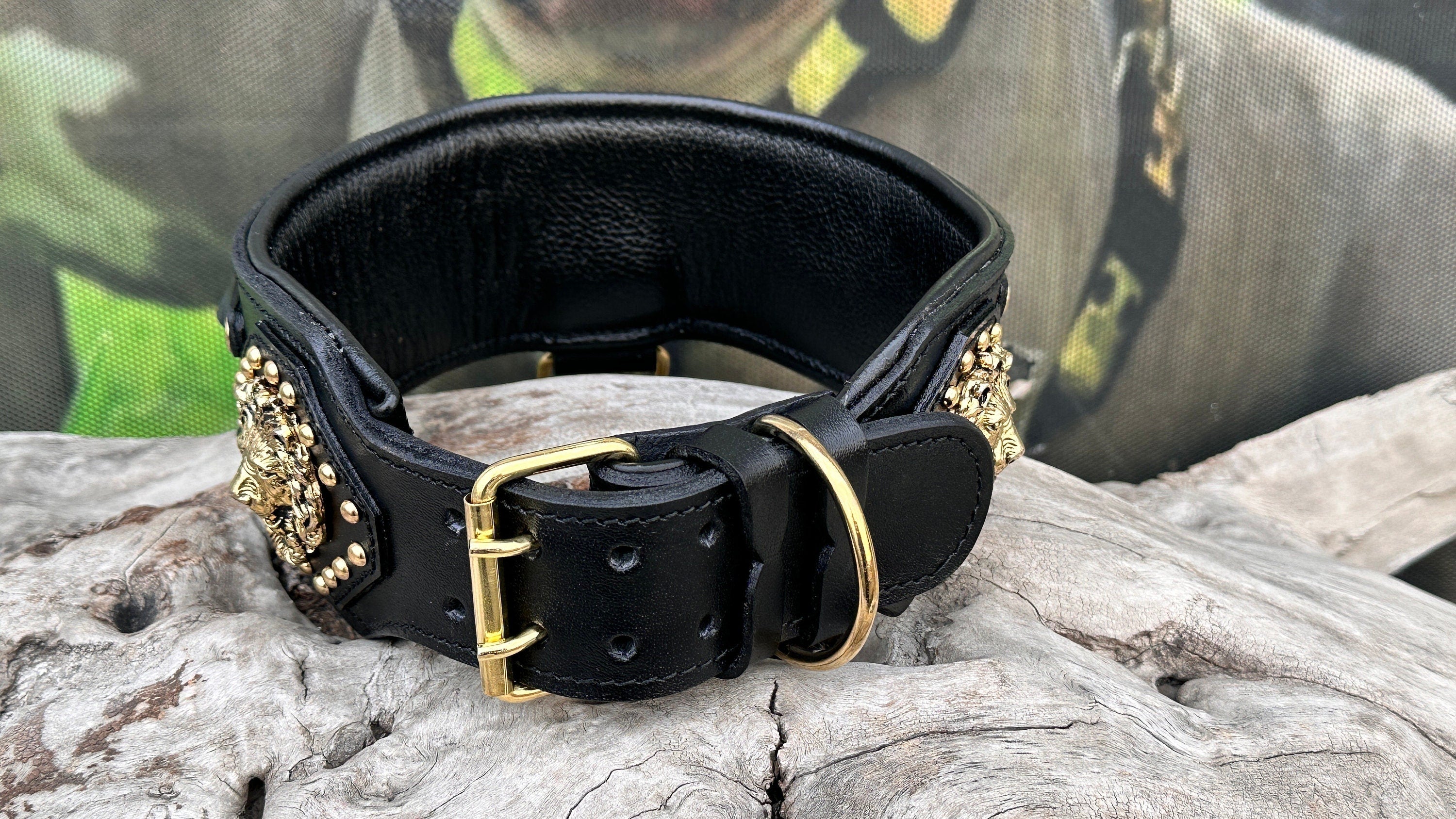 Handmade Wide Buffalo Leather Dog Collar: Gold Lion, Chain Detail - A&C Dog Collars