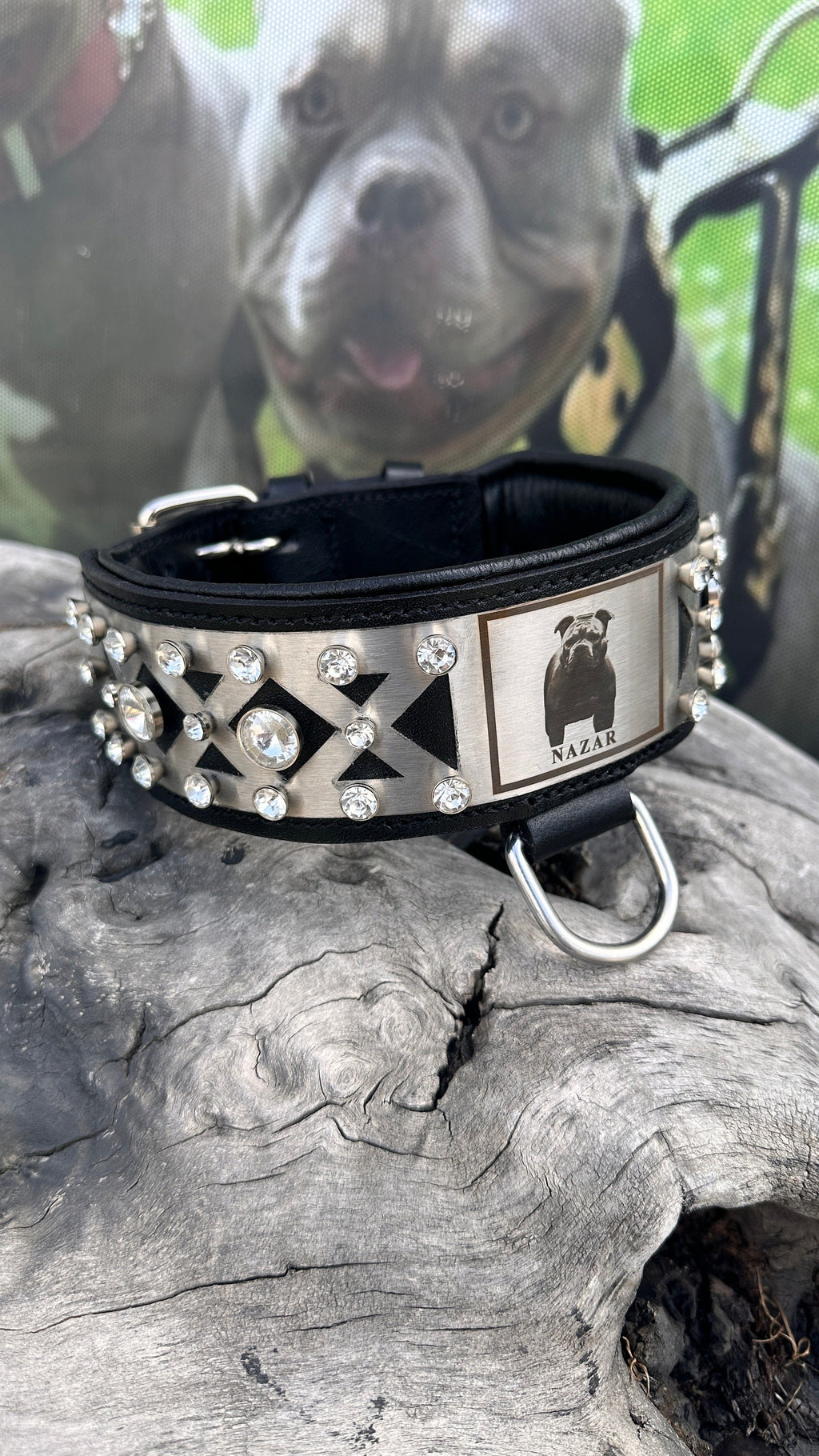 Custom Photo Dog Collar: Padded Buffalo Leather, Crystal Studded - Large Breeds