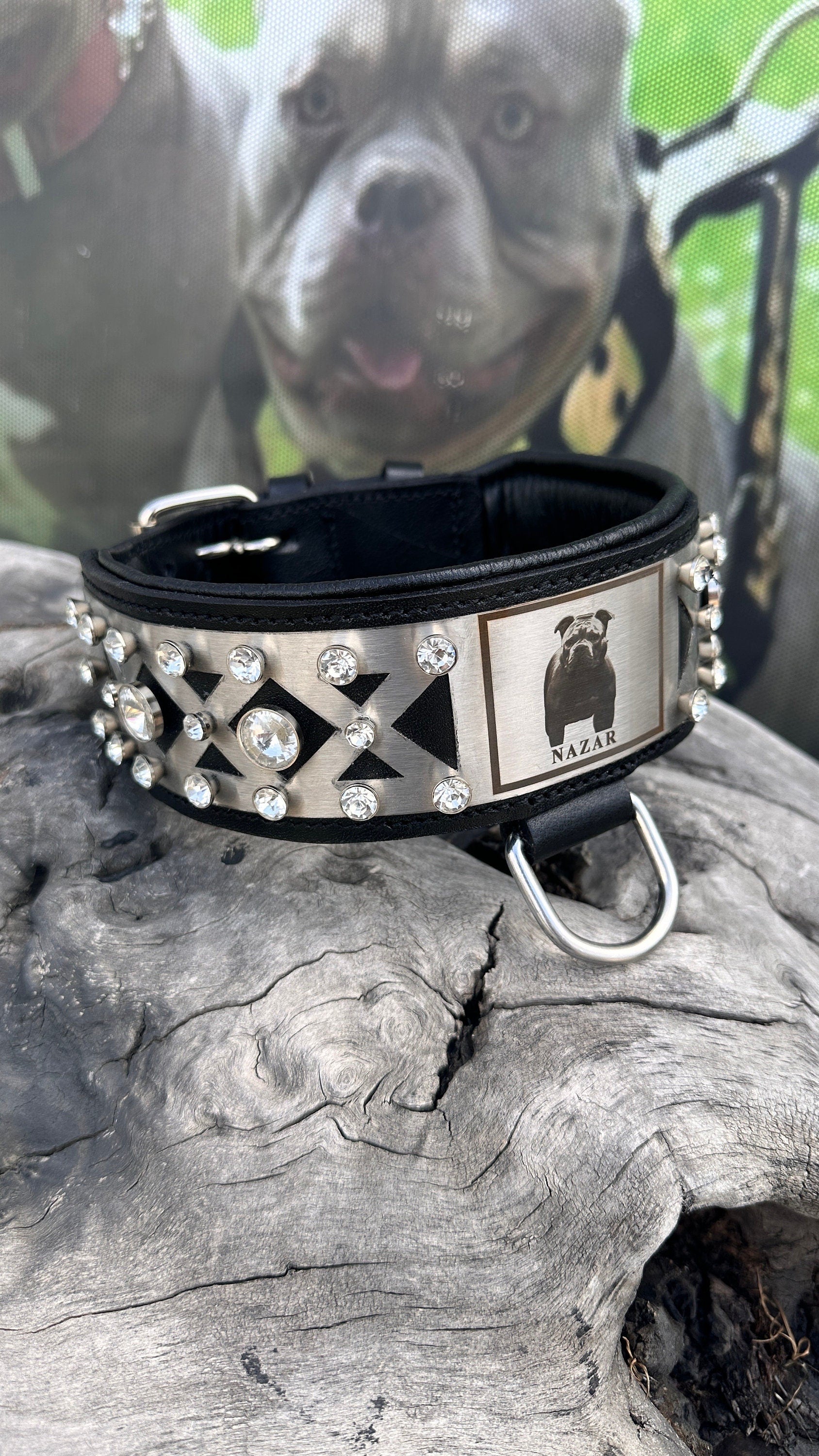 Custom Photo Dog Collar: Padded Buffalo Leather, Crystal Studded - Large Breeds