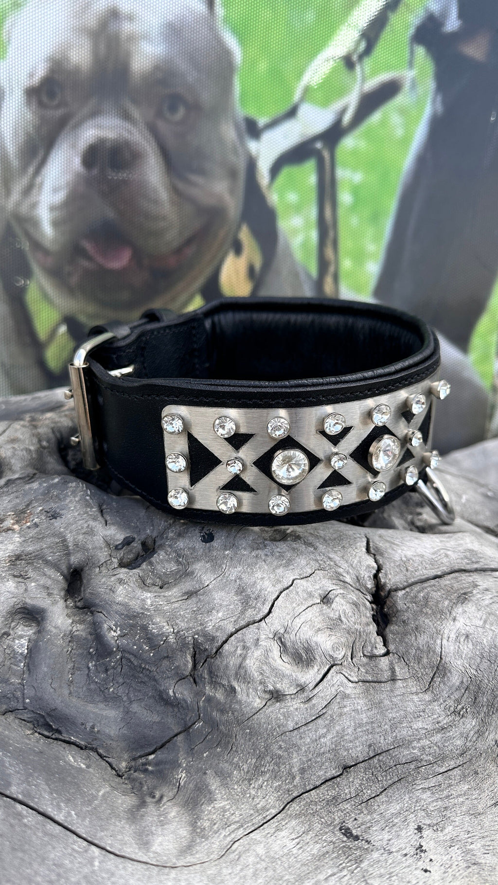 Custom Photo Dog Collar: Padded Buffalo Leather, Crystal Studded - Large Breeds