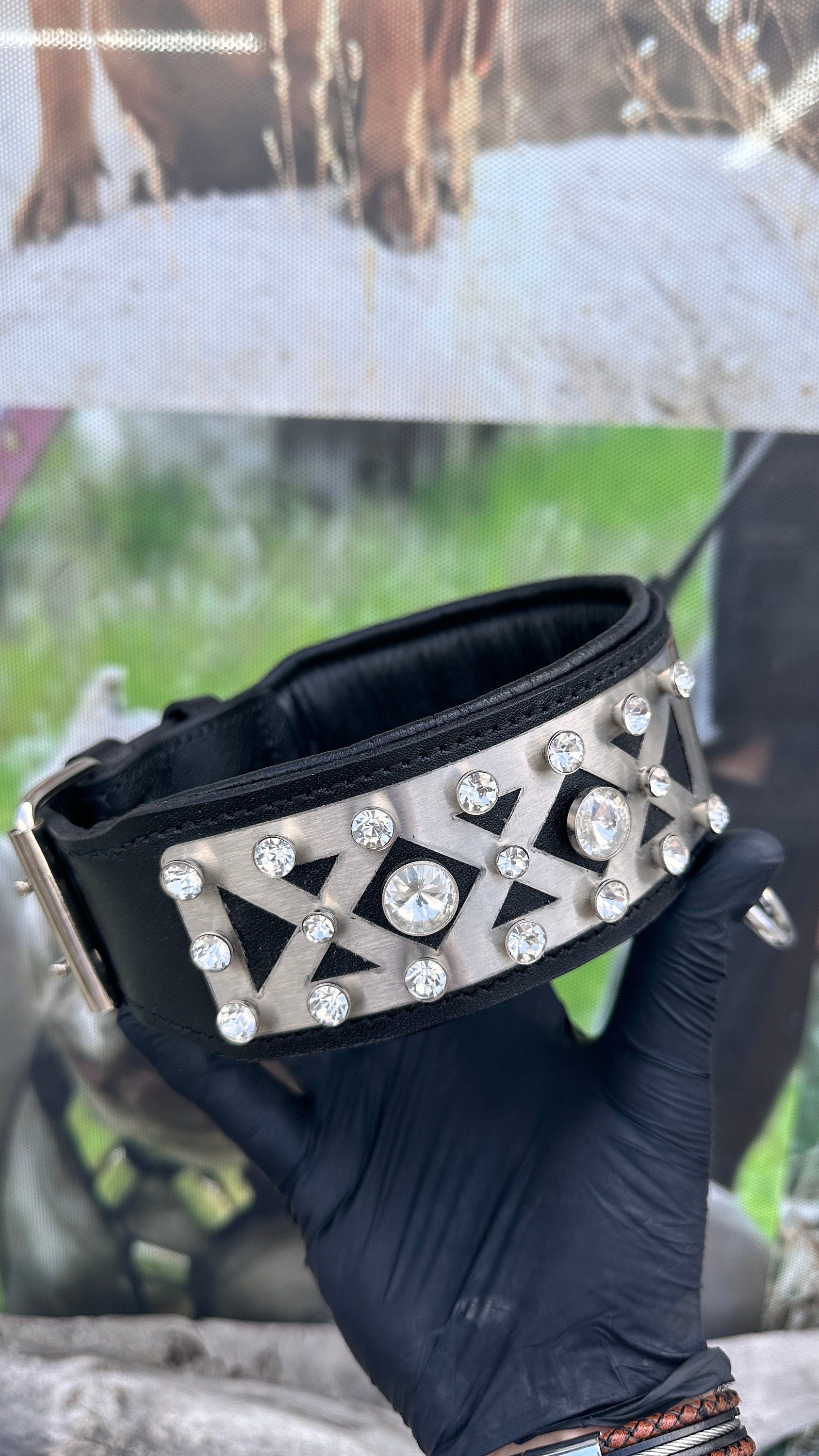 Custom Photo Dog Collar: Padded Buffalo Leather, Crystal Studded - Large Breeds