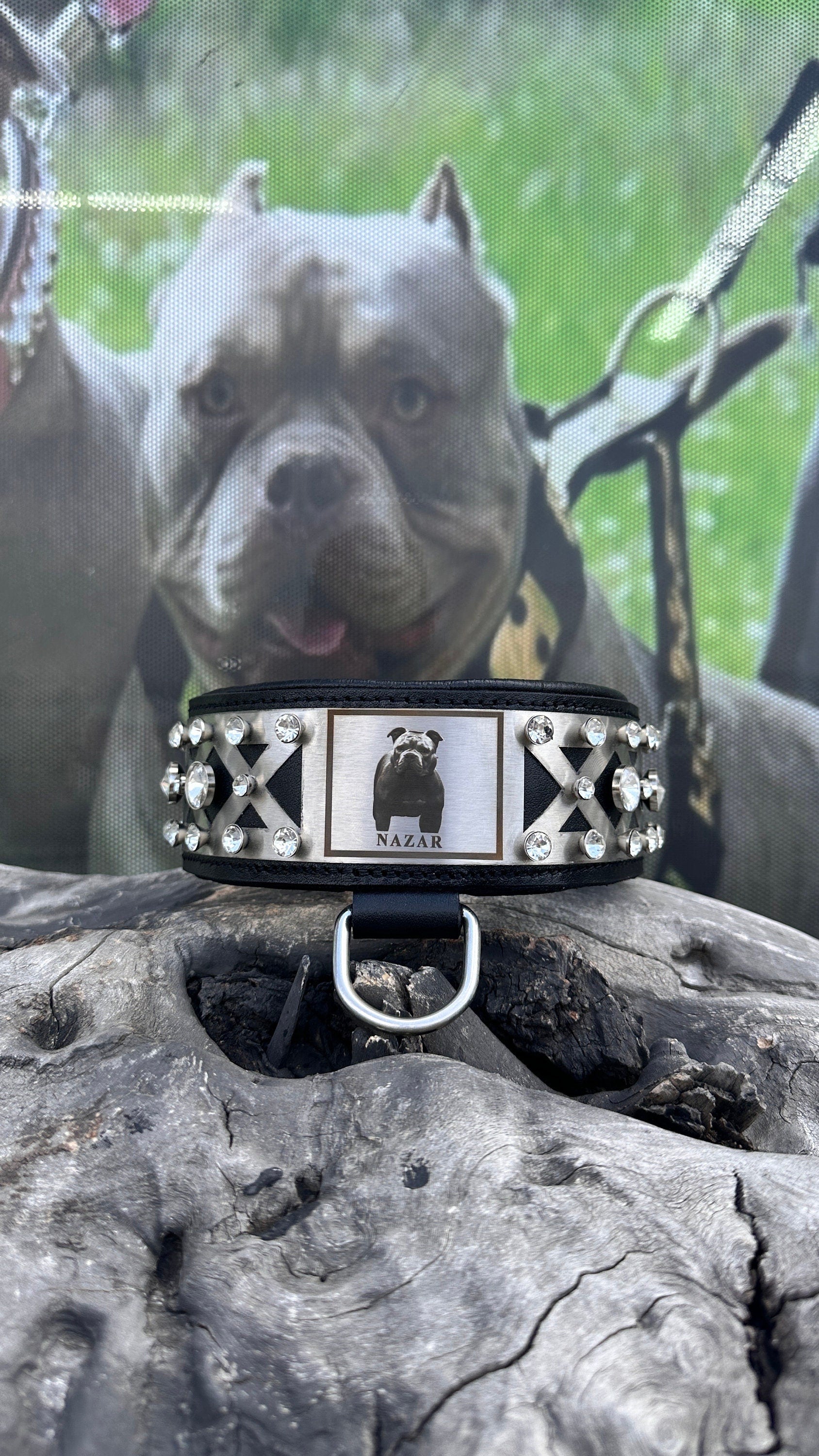 Custom Photo Dog Collar: Padded Buffalo Leather, Crystal Studded - Large Breeds