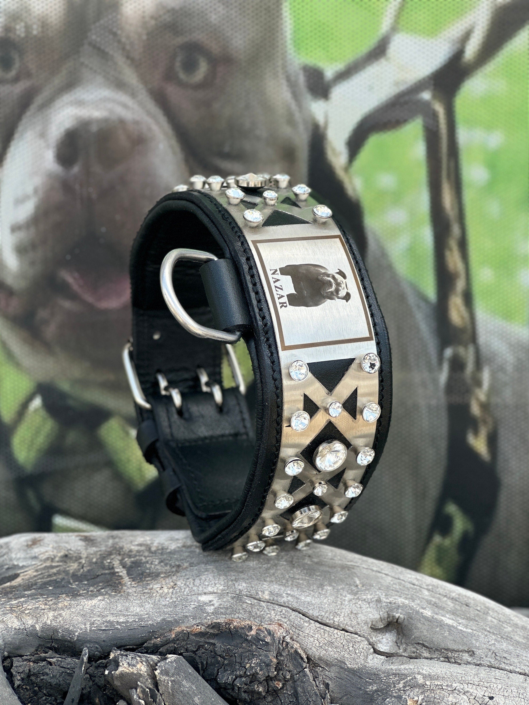 Custom Photo Dog Collar: Padded Buffalo Leather, Crystal Studded - Large Breeds