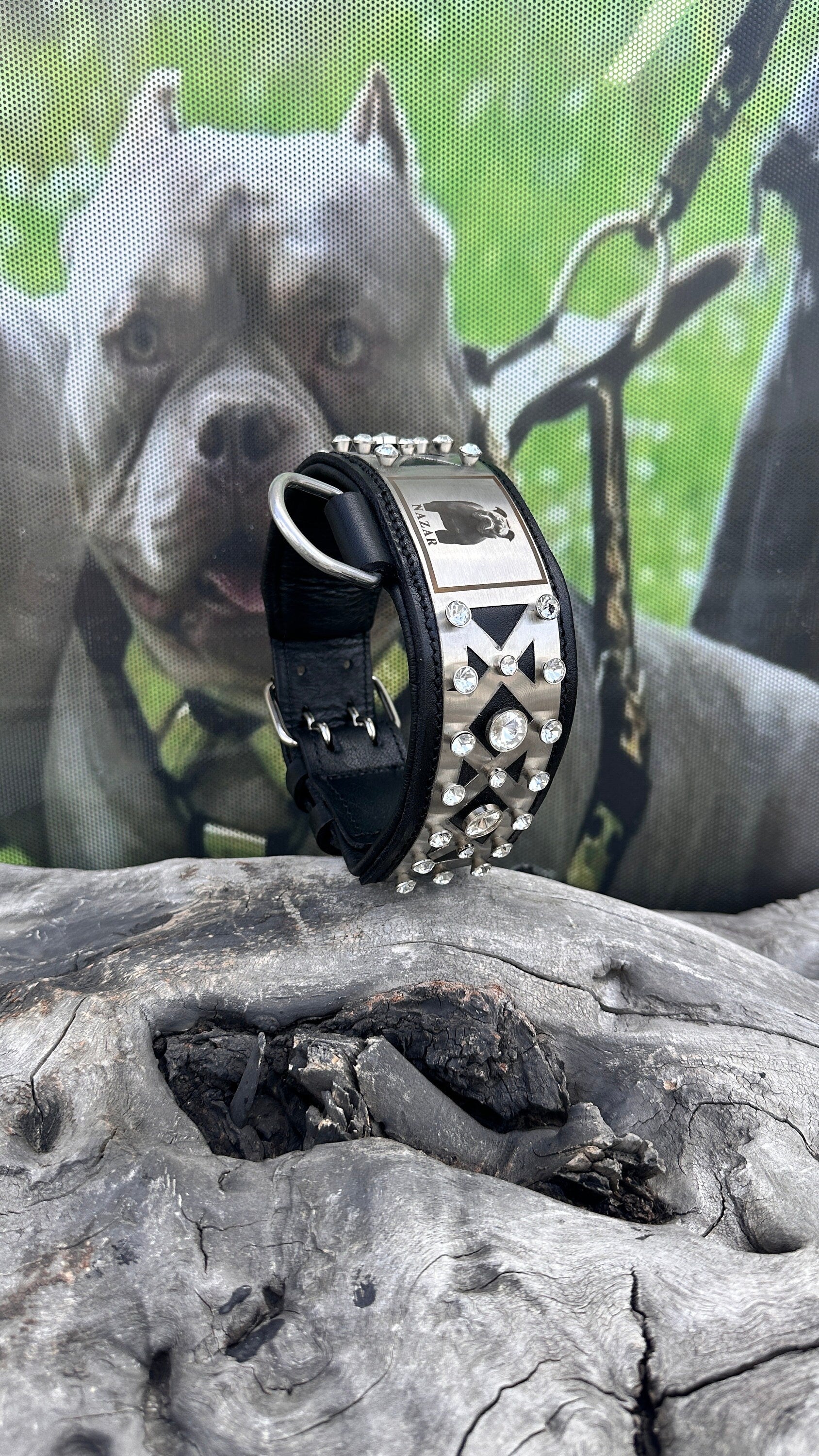 Custom Photo Dog Collar: Padded Buffalo Leather, Crystal Studded - Large Breeds