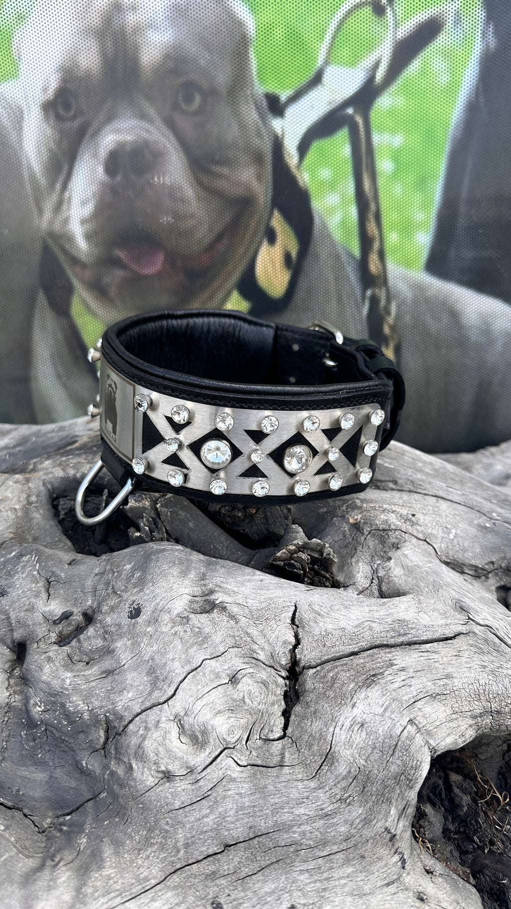 Custom Photo Dog Collar: Padded Buffalo Leather, Crystal Studded - Large Breeds