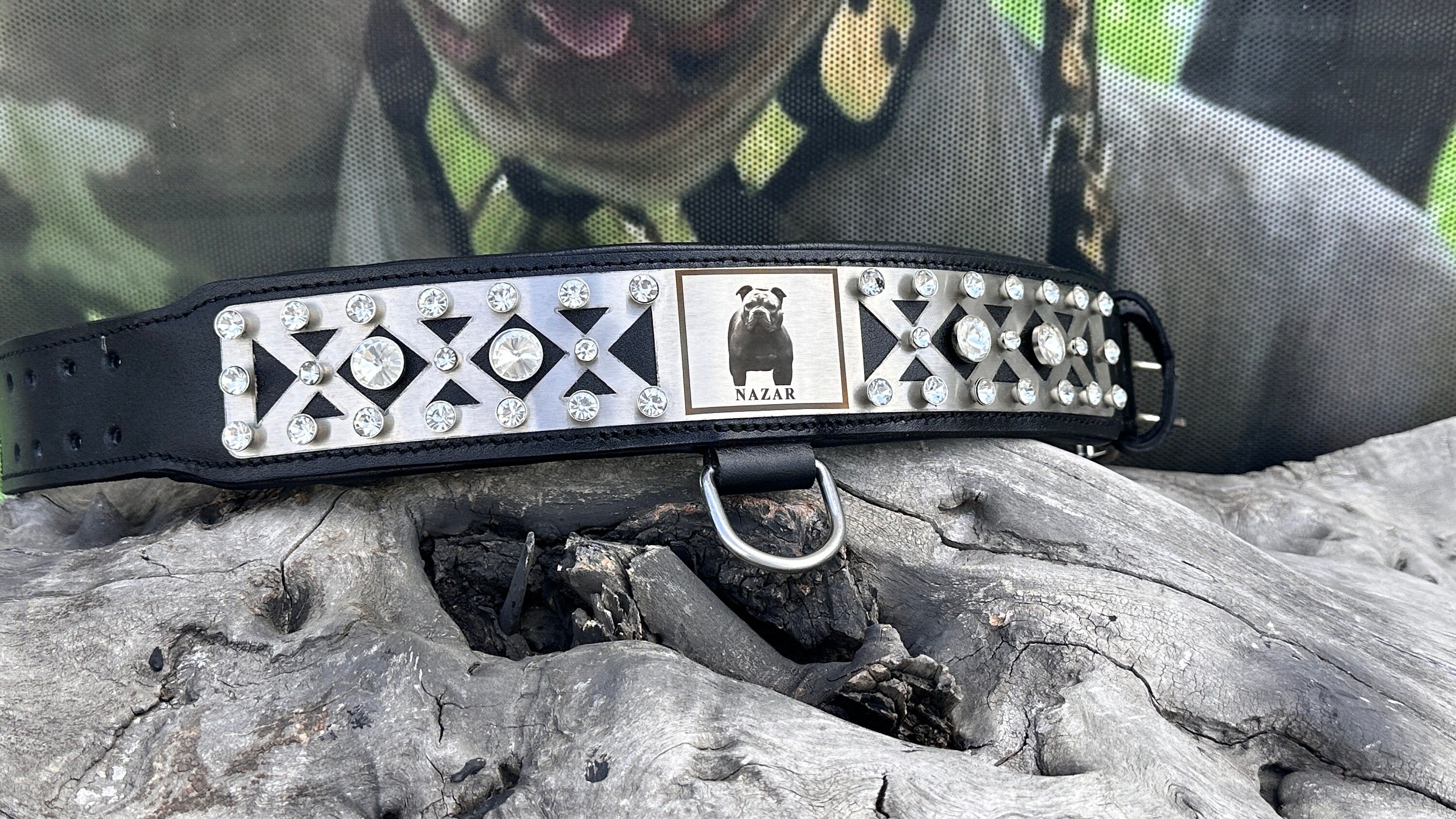 Custom Photo Dog Collar: Padded Buffalo Leather, Crystal Studded - Large Breeds