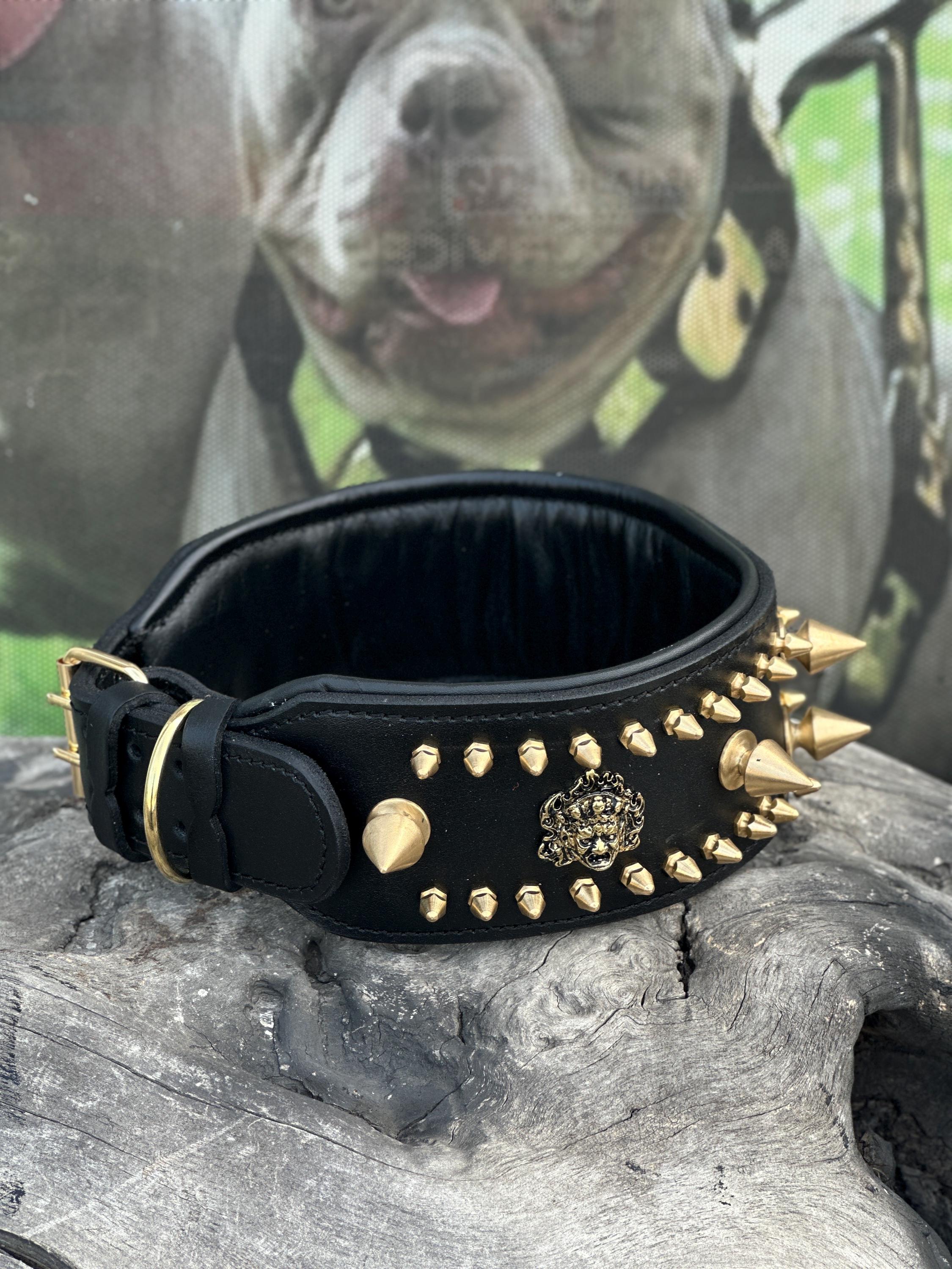 Custom Wide Leather Dog Collar: Gold Spikes, Brass Name Plate