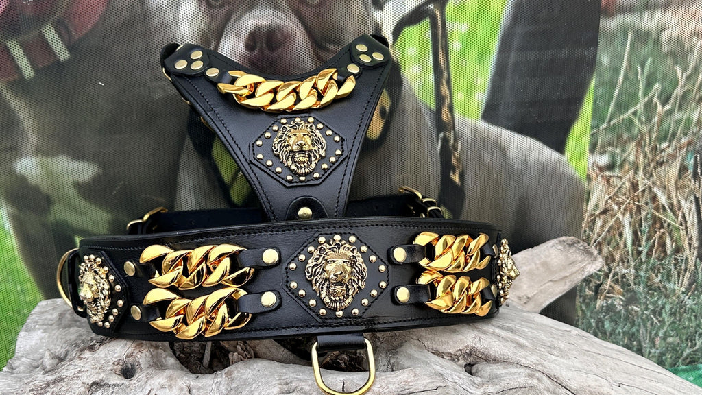 Luxury Leather Dog Collar Harness Set: Gold Chain Lion Logo - A&C Dog Collars