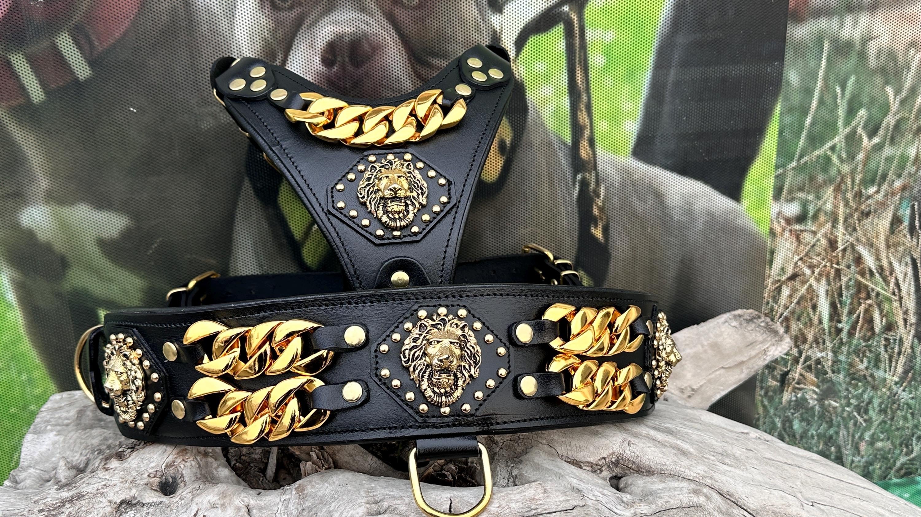 Luxury Leather Dog Collar Harness Set: Gold Chain Lion Logo - A&C Dog Collars