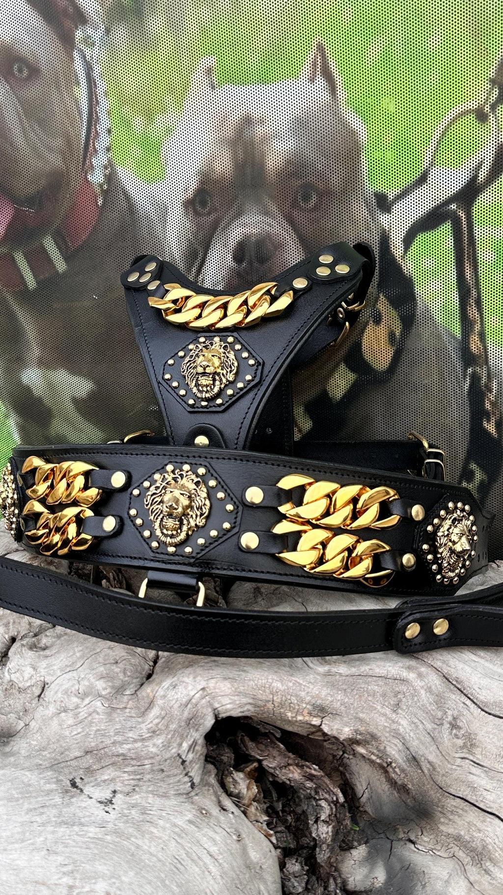 Luxury Leather Dog Collar Harness Set: Gold Chain Lion Logo - A&C Dog Collars