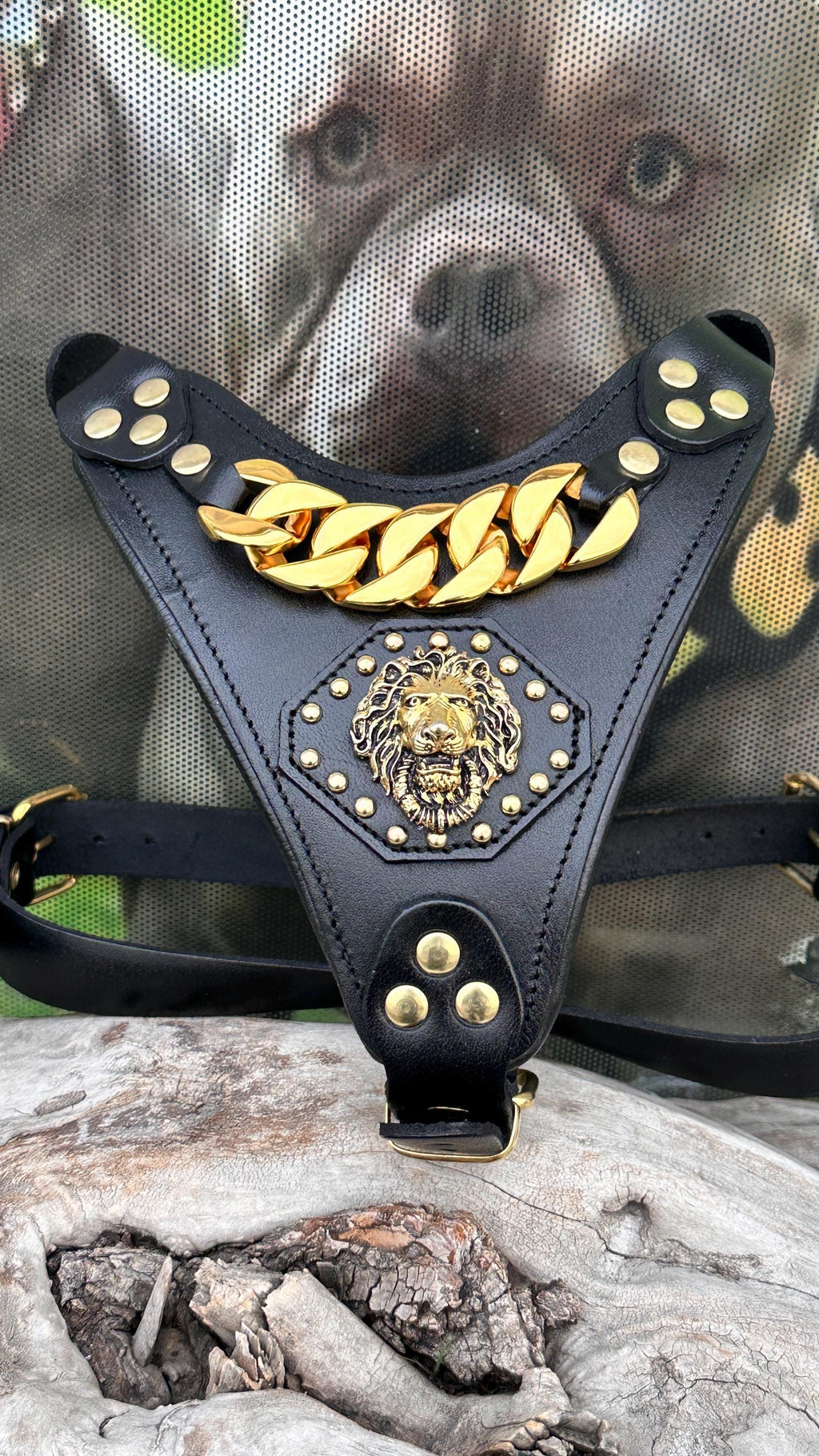 Luxury Leather Dog Collar Harness Set: Gold Chain Lion Logo - A&C Dog Collars
