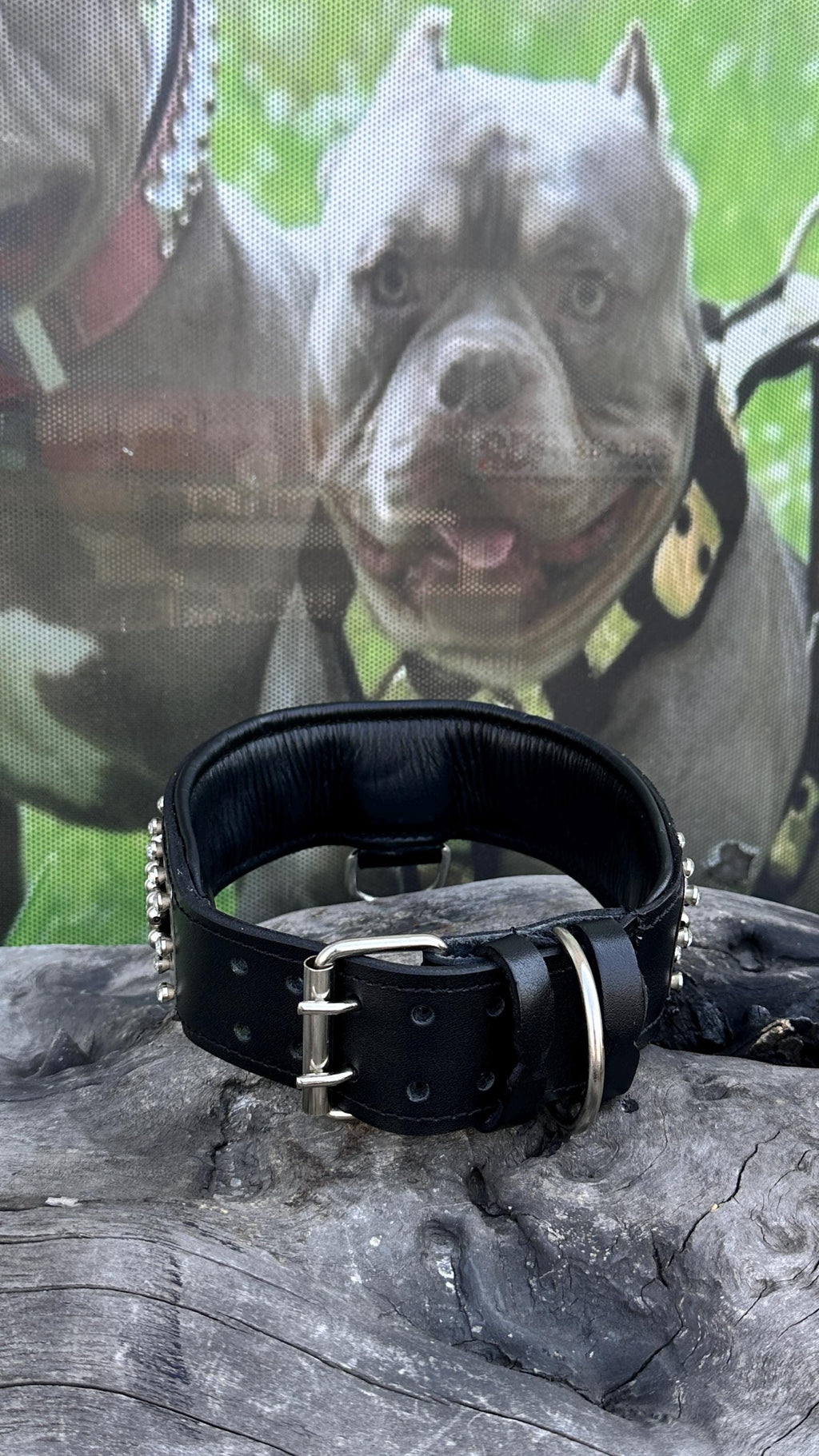 Handmade Leather Dog Collar: Personalized Engraved Name Plate