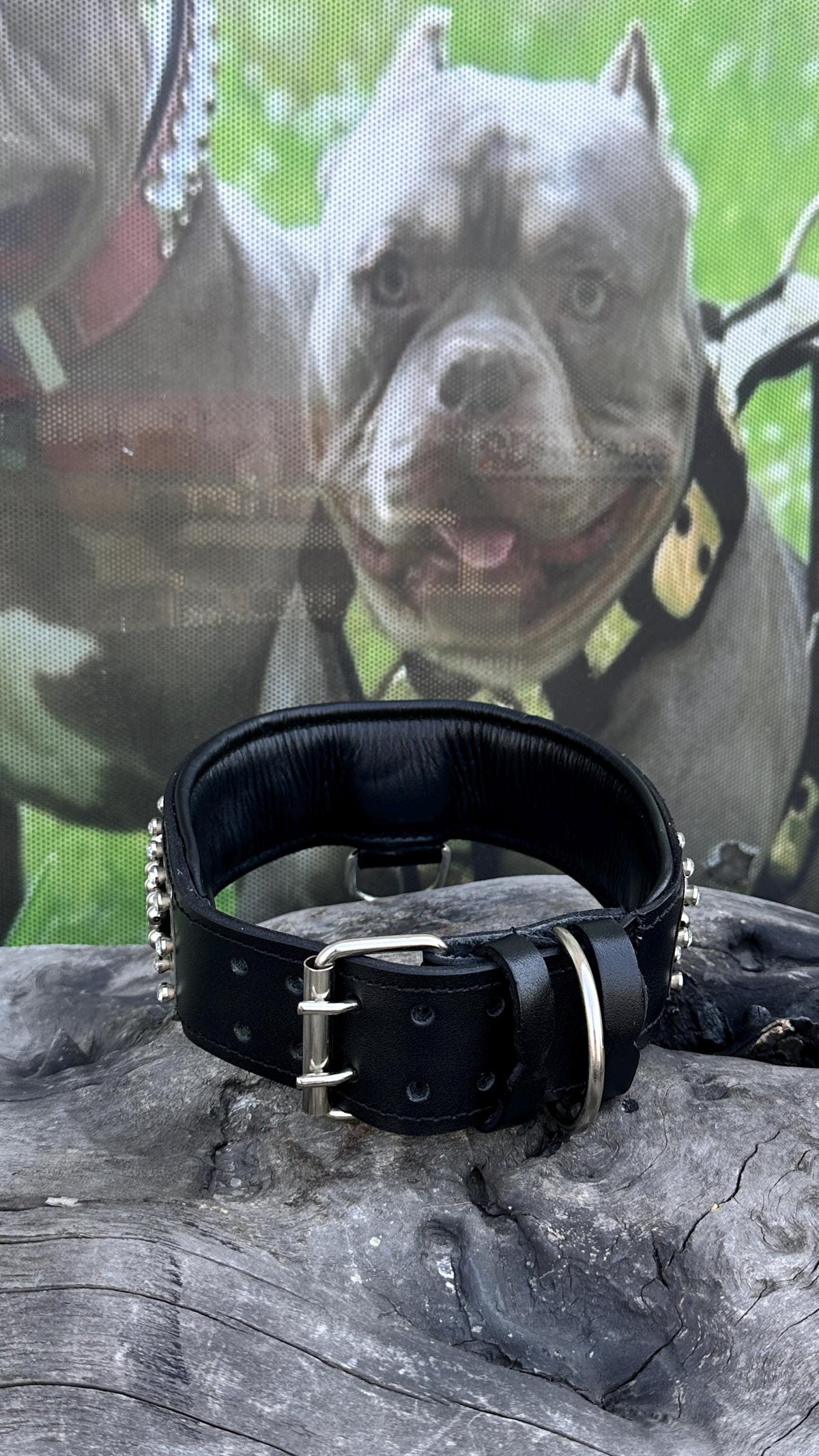 Handmade Leather Dog Collar: Personalized Engraved Name Plate