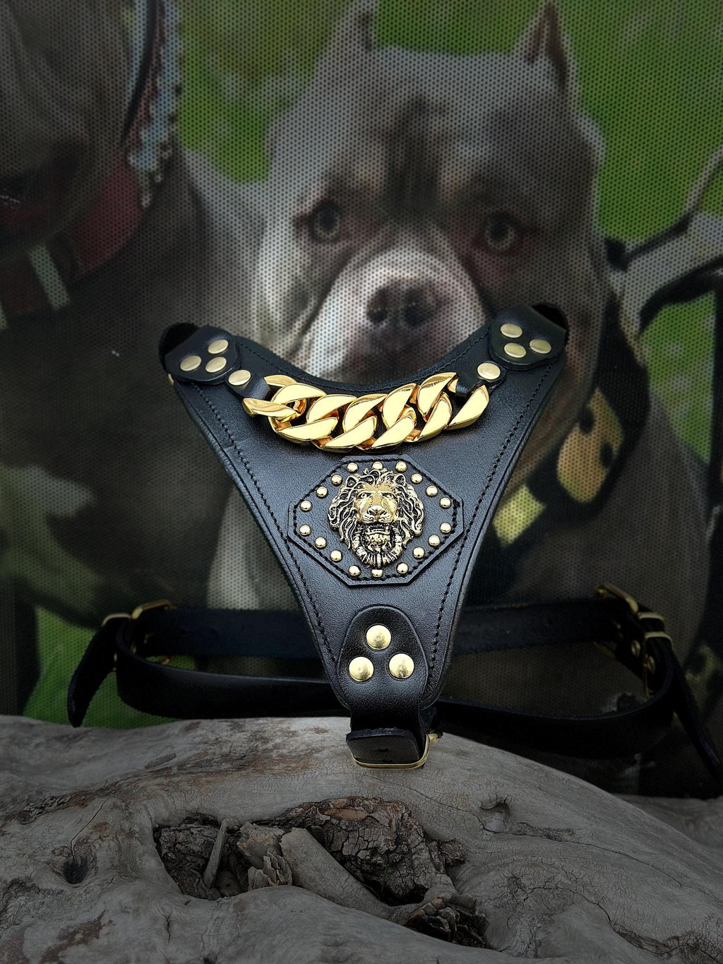 Luxury Leather Dog Collar Harness Set: Gold Chain Lion Logo - A&C Dog Collars