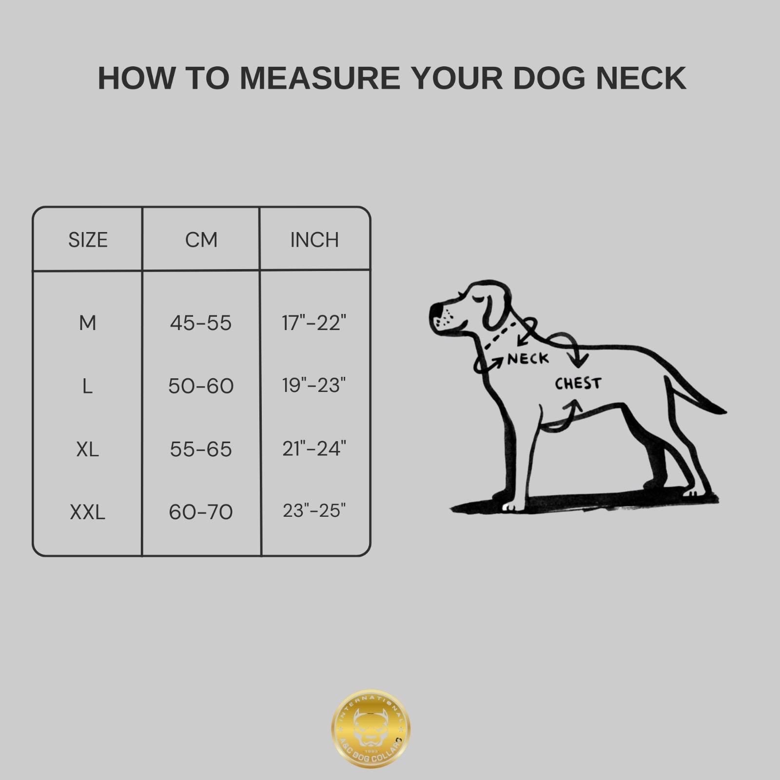 Luxury Leather Dog Collar Harness Set: Gold Chain Lion Logo - A&C Dog Collars