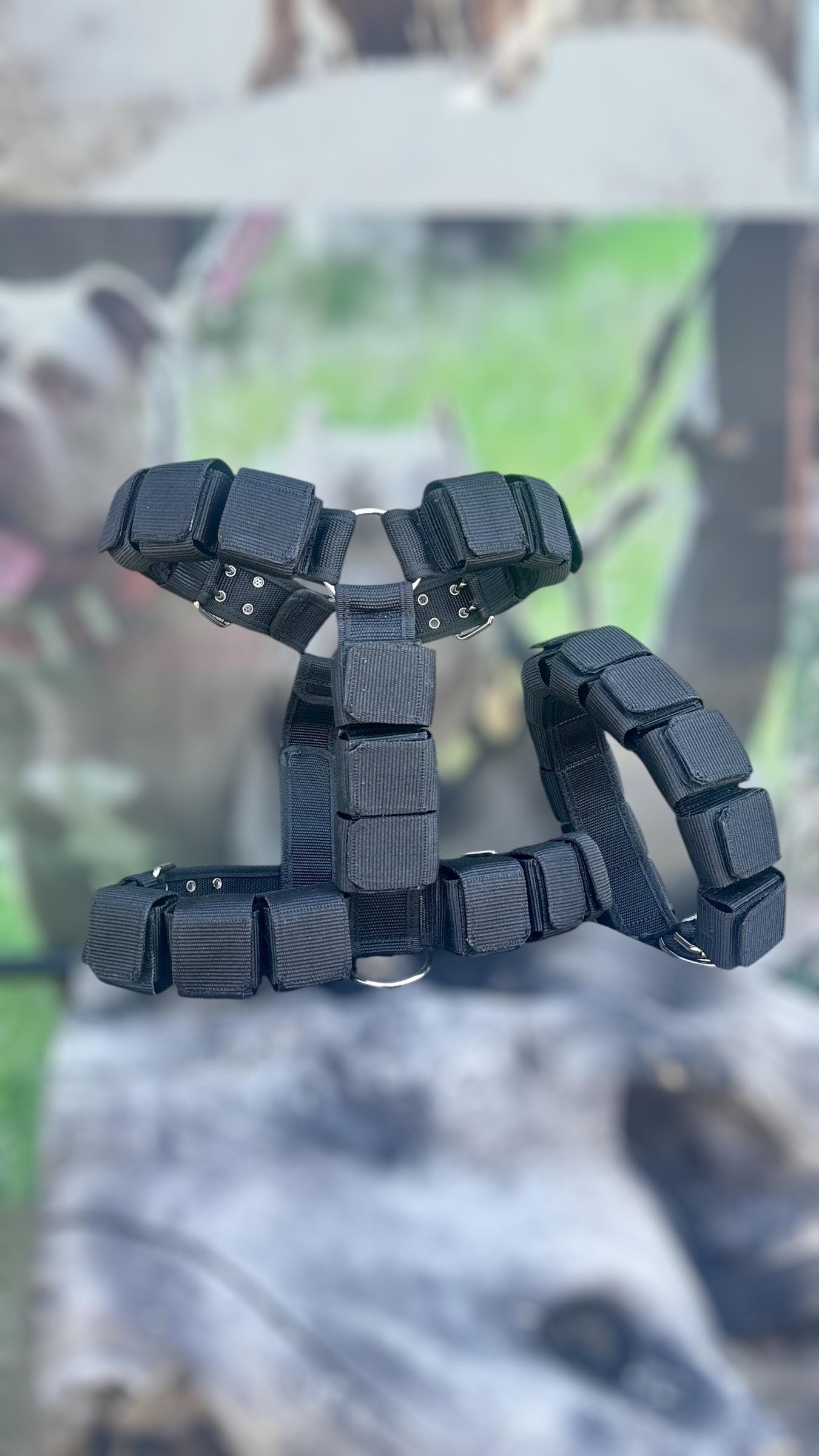 Heavy-Duty Dog Weight Training Set – Adjustable Weighted Collar & Harness for Muscle Building