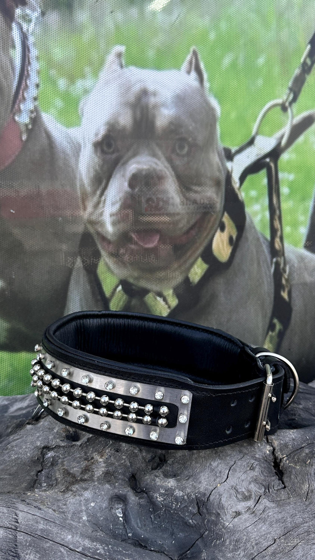 Handmade Leather Dog Collar: Personalized Engraved Name Plate
