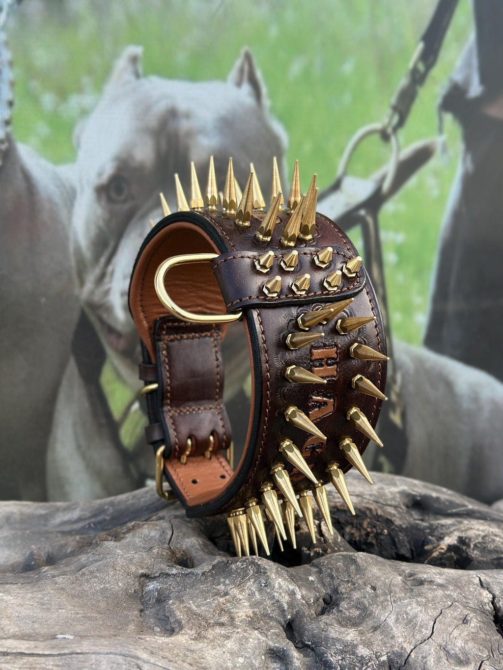 Handcrafted 8 cm Spiked Dog Collar, Personalized Name, for Cane Corso, American Bully, Doberman