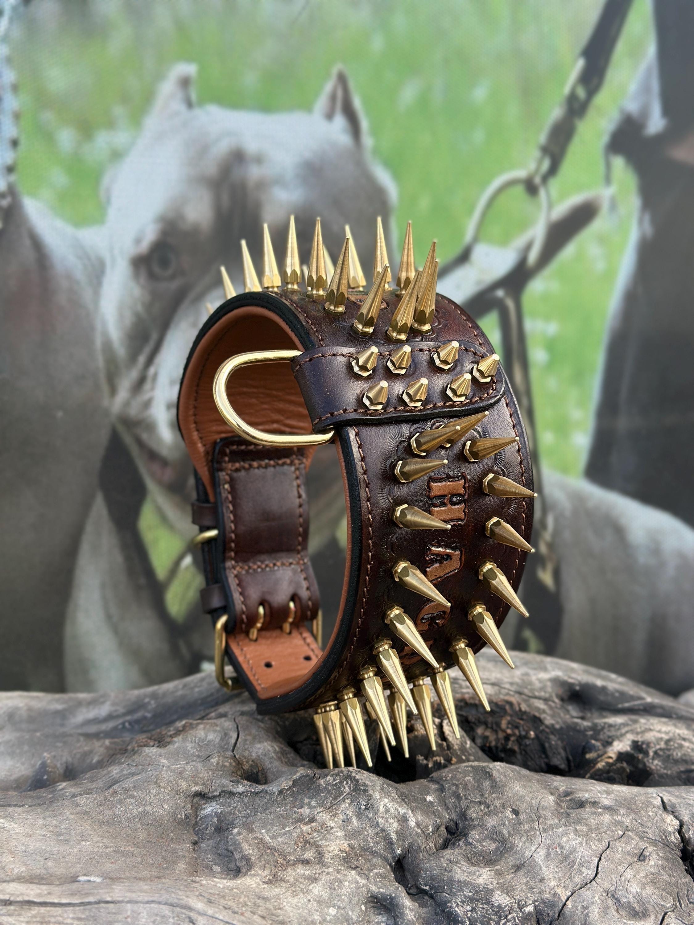 Handcrafted 8 cm Spiked Dog Collar, Personalized Name, for Cane Corso, American Bully, Doberman