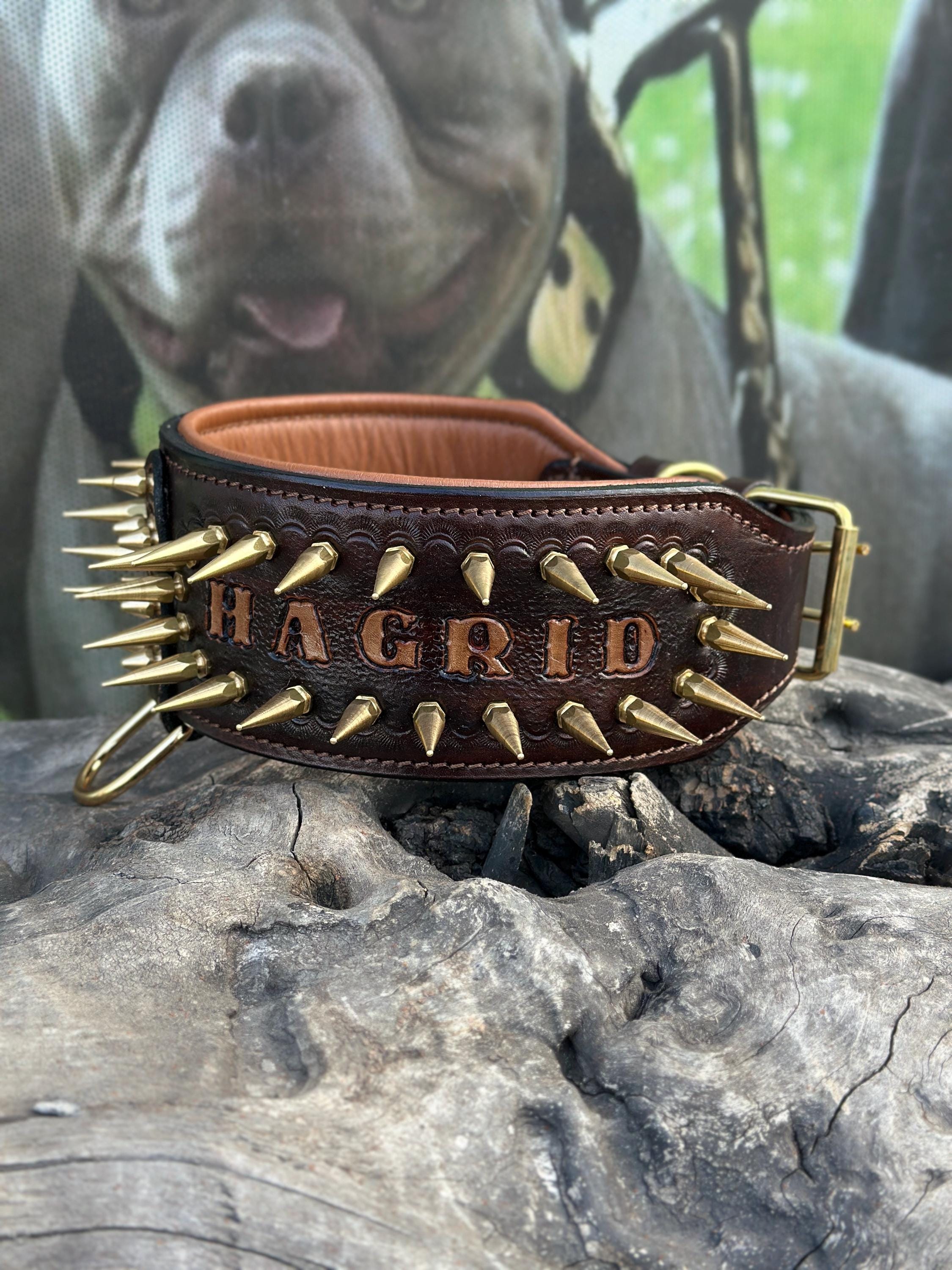Handcrafted 8 cm Spiked Dog Collar, Personalized Name, for Cane Corso, American Bully, Doberman
